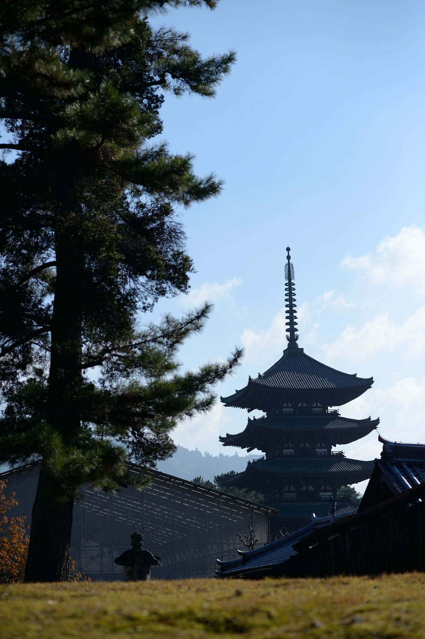 Nikon Df + Nikon AF Nikkor 85mm F1.8D sample photo. Five storied pagoda (kofukuji) photography