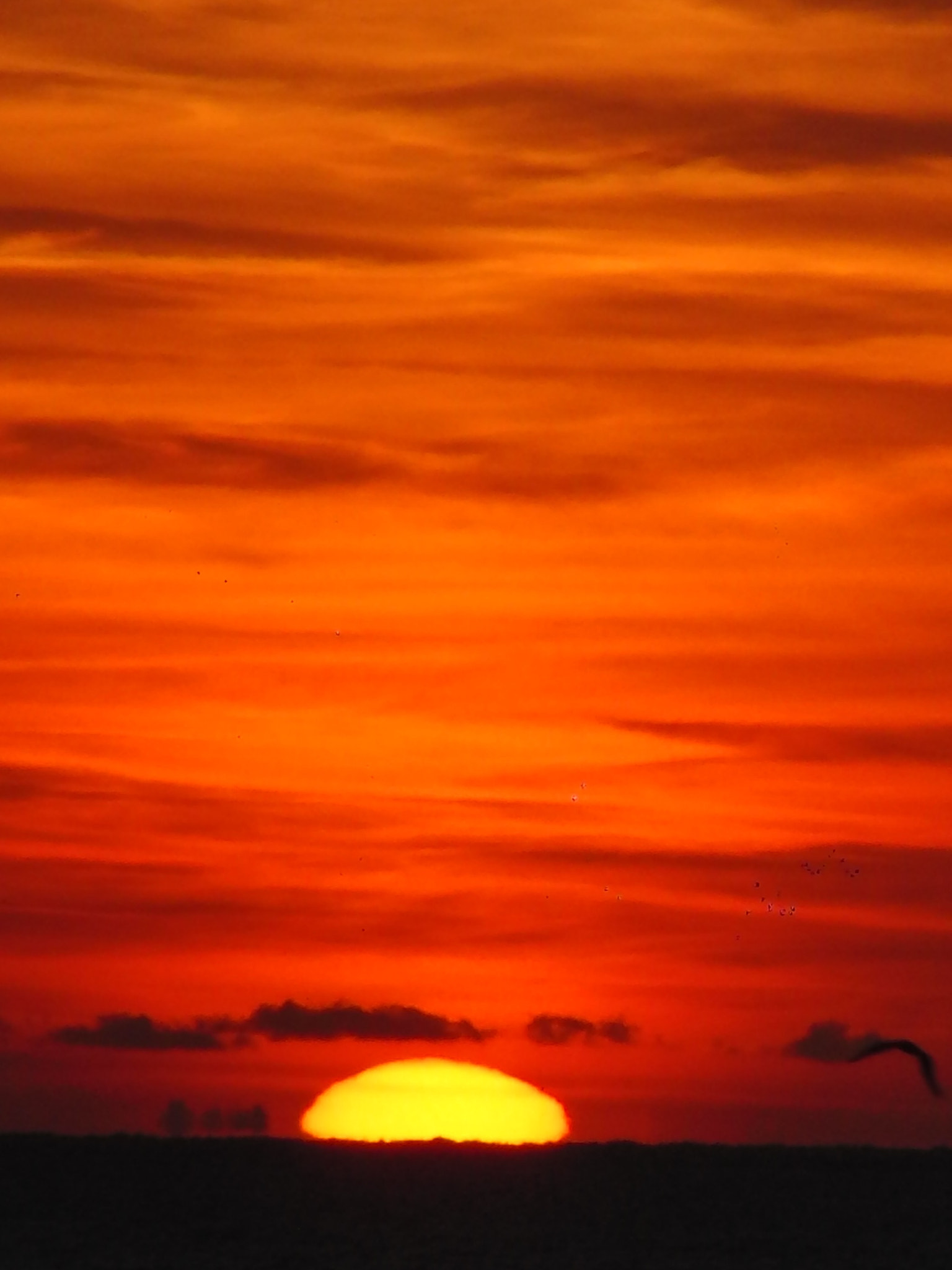 CASIO EX-F1 sample photo. Puesta de sol photography