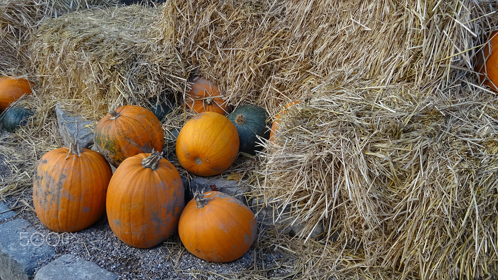 Sony DSC-QX30 sample photo. Pumpkins in tivoli photography