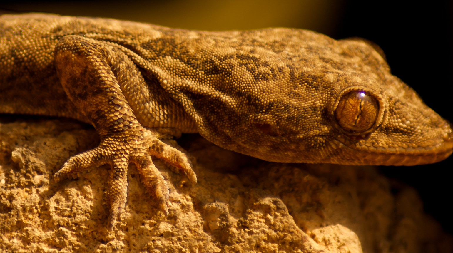 Sony Alpha DSLR-A300 + Sony DT 55-200mm F4-5.6 SAM sample photo. Lzzsshaaard photography