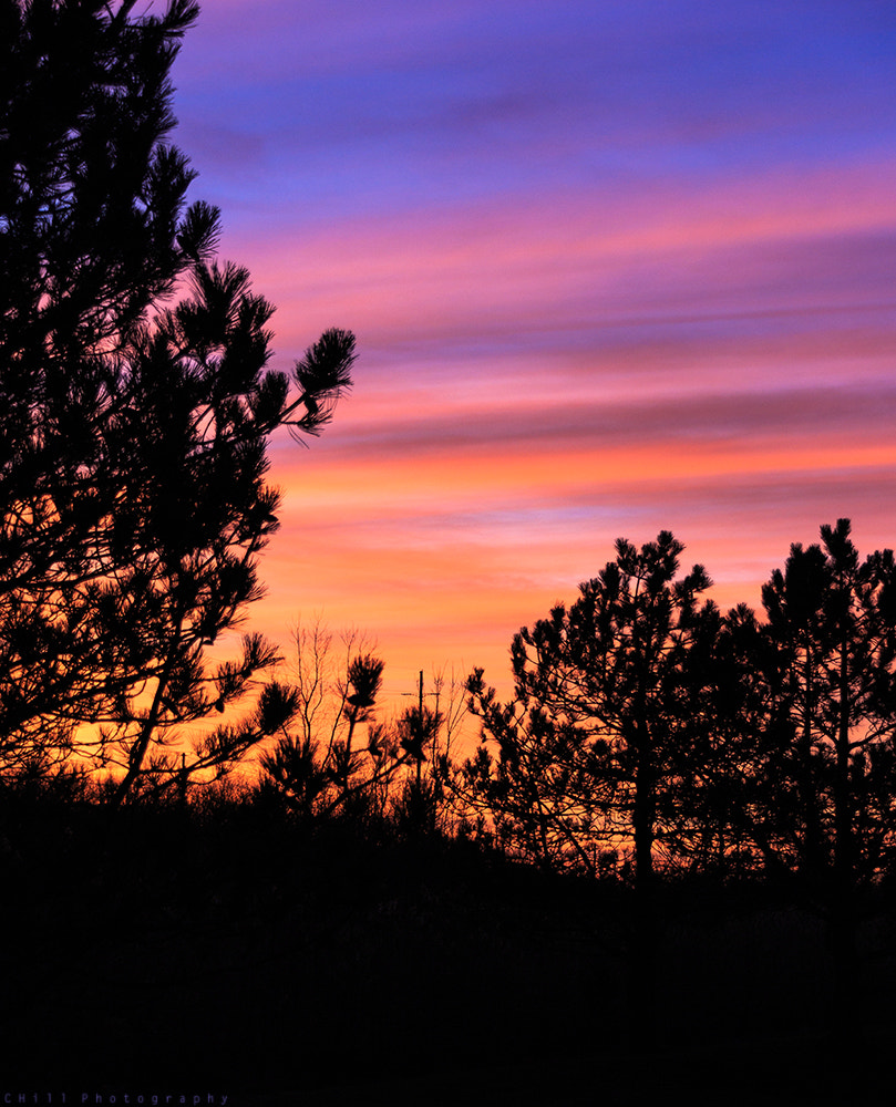 Sigma 18-250mm F3.5-6.3 DC OS HSM sample photo. Christmas sunset photography