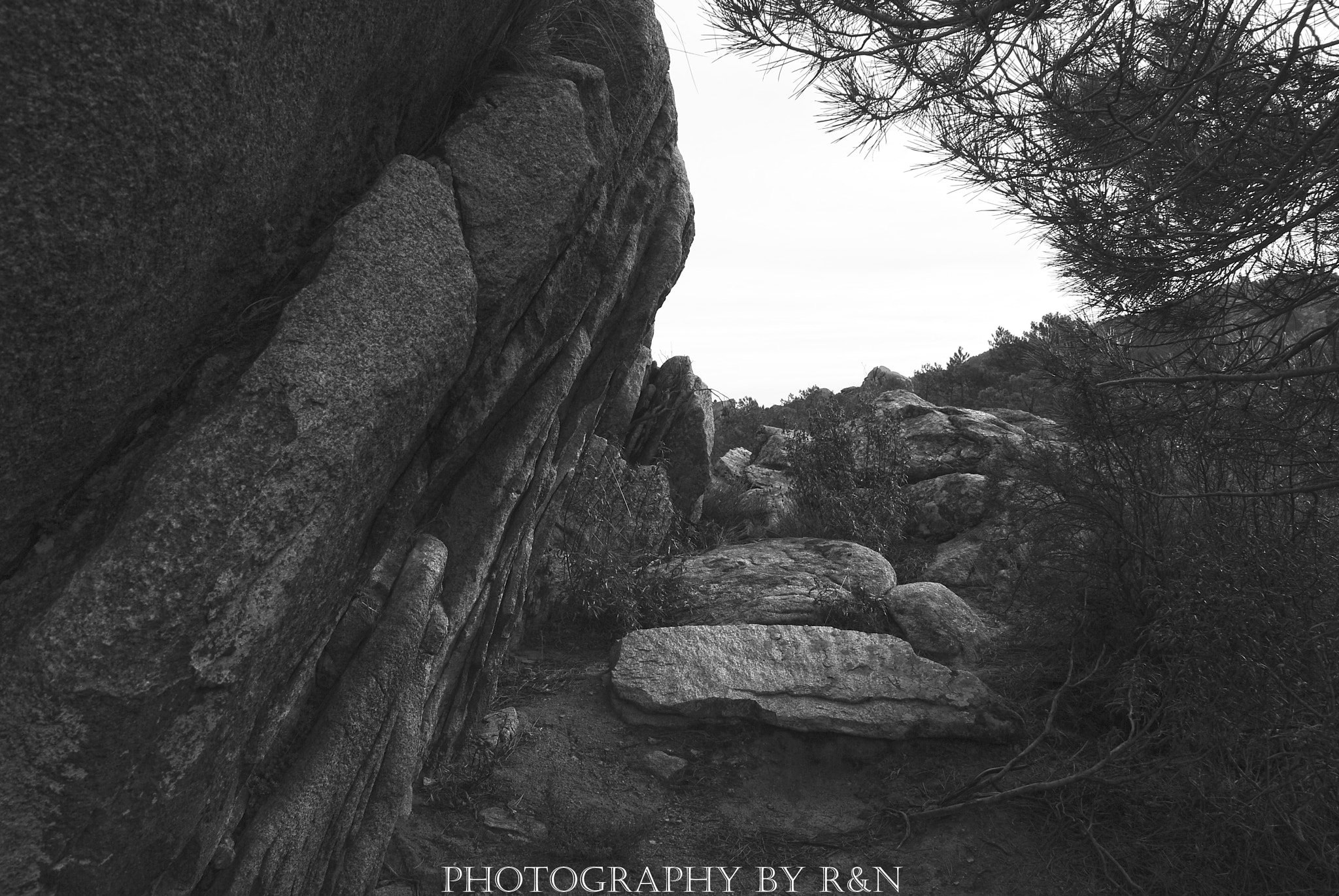 Sigma 17-50mm F2.8 EX DC OS HSM sample photo. La pedriza photography