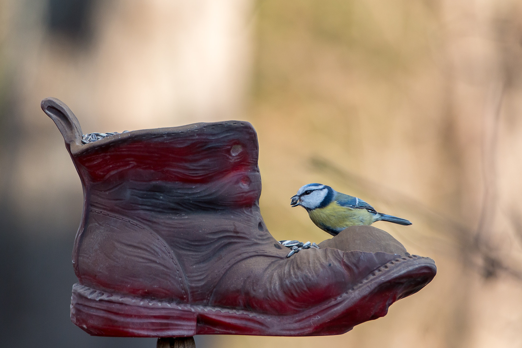 Canon EF 70-200mm F2.8L IS II USM sample photo. Bluetit photography
