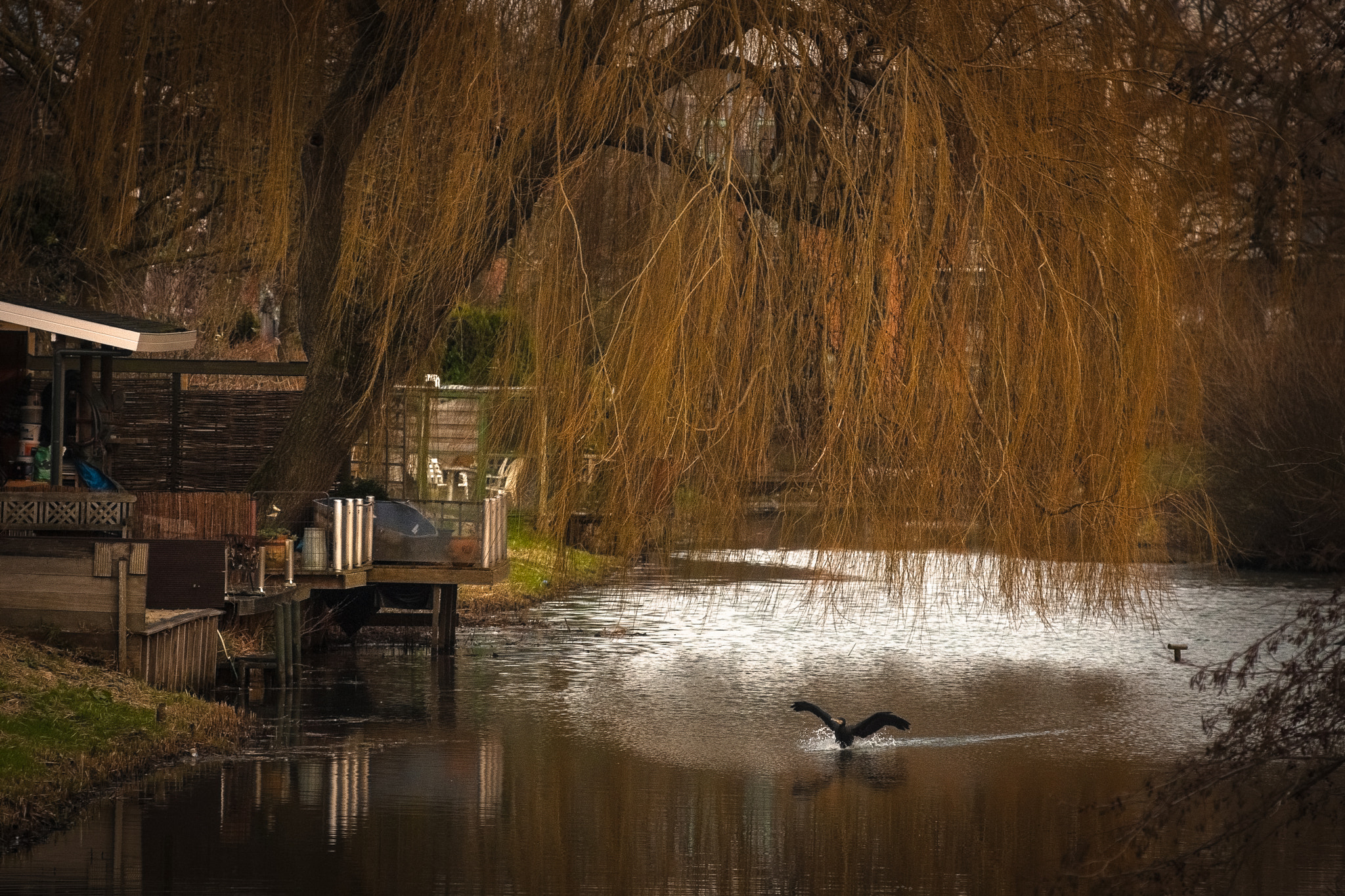 Canon EOS 40D + Canon EF 135mm F2.8 SF sample photo. Scenery. photography