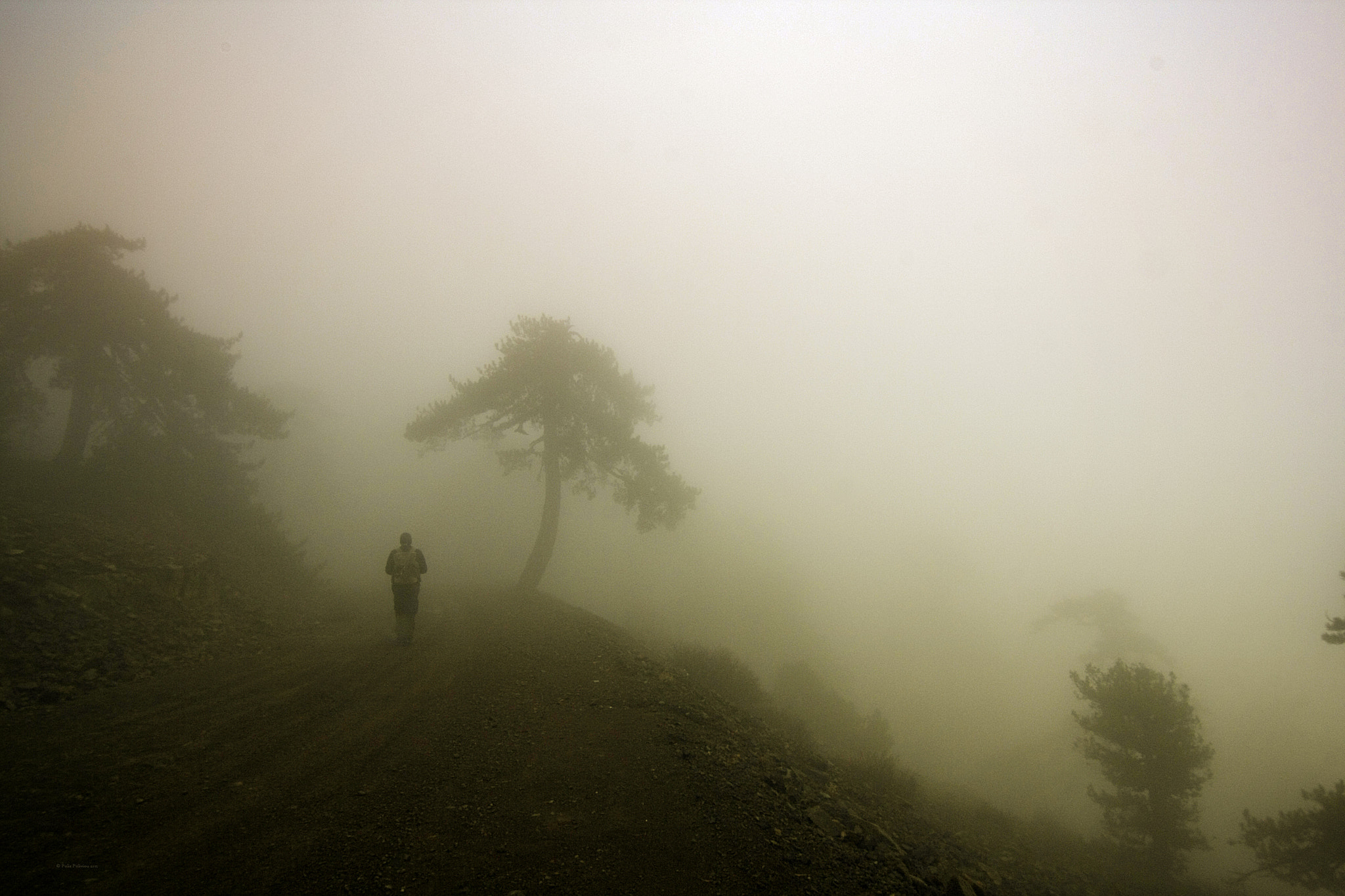 Tokina AT-X Pro 12-24mm F4 (IF) DX sample photo. Foggy photography