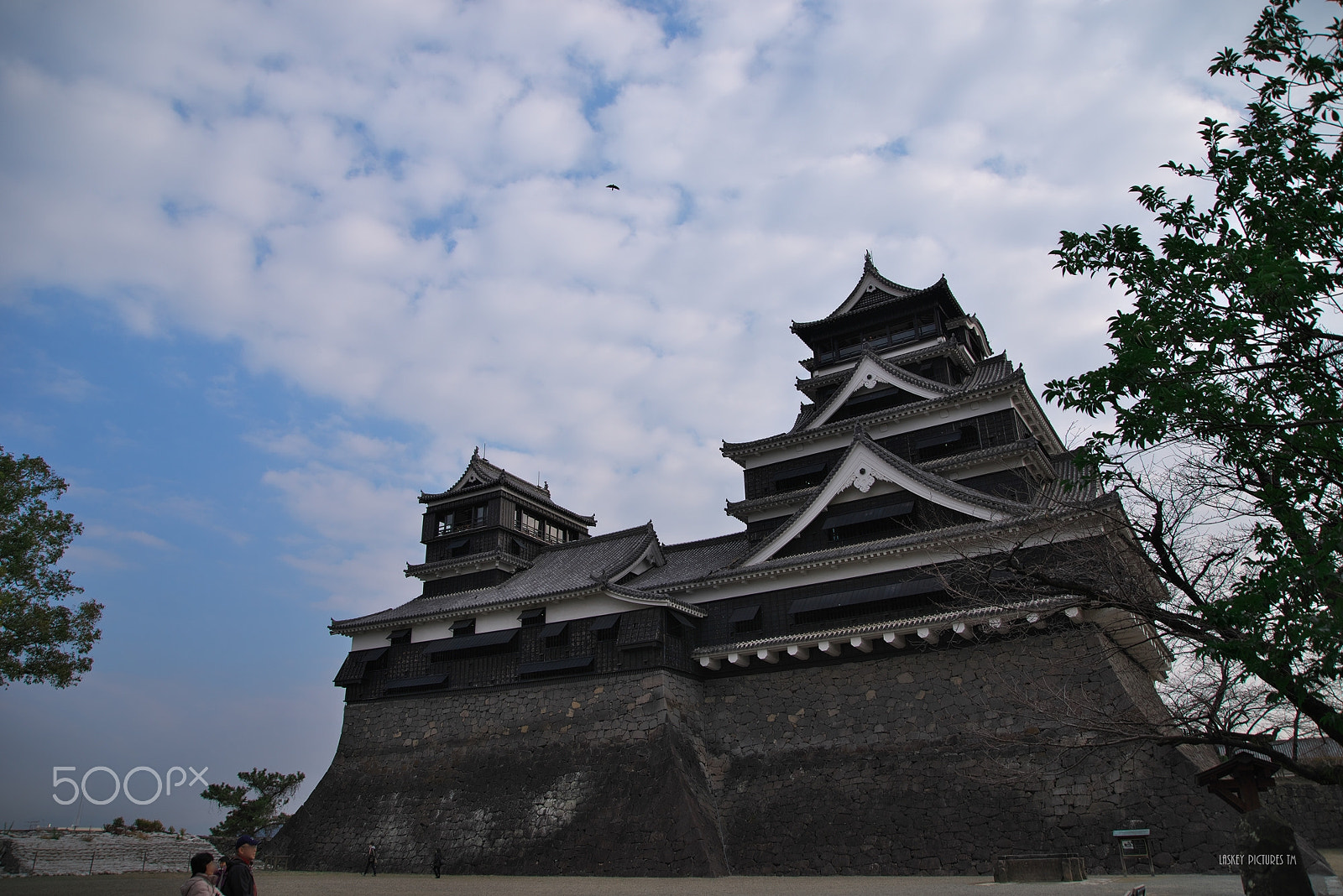 VR 24-105mm F/4.0 G sample photo. Kumamoto castle photography