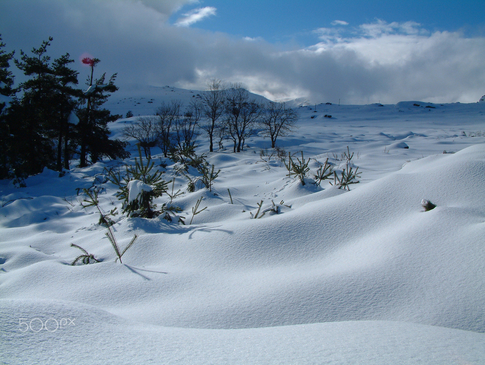 Fujifilm FinePix6900ZOOM sample photo. Serra da estrela photography