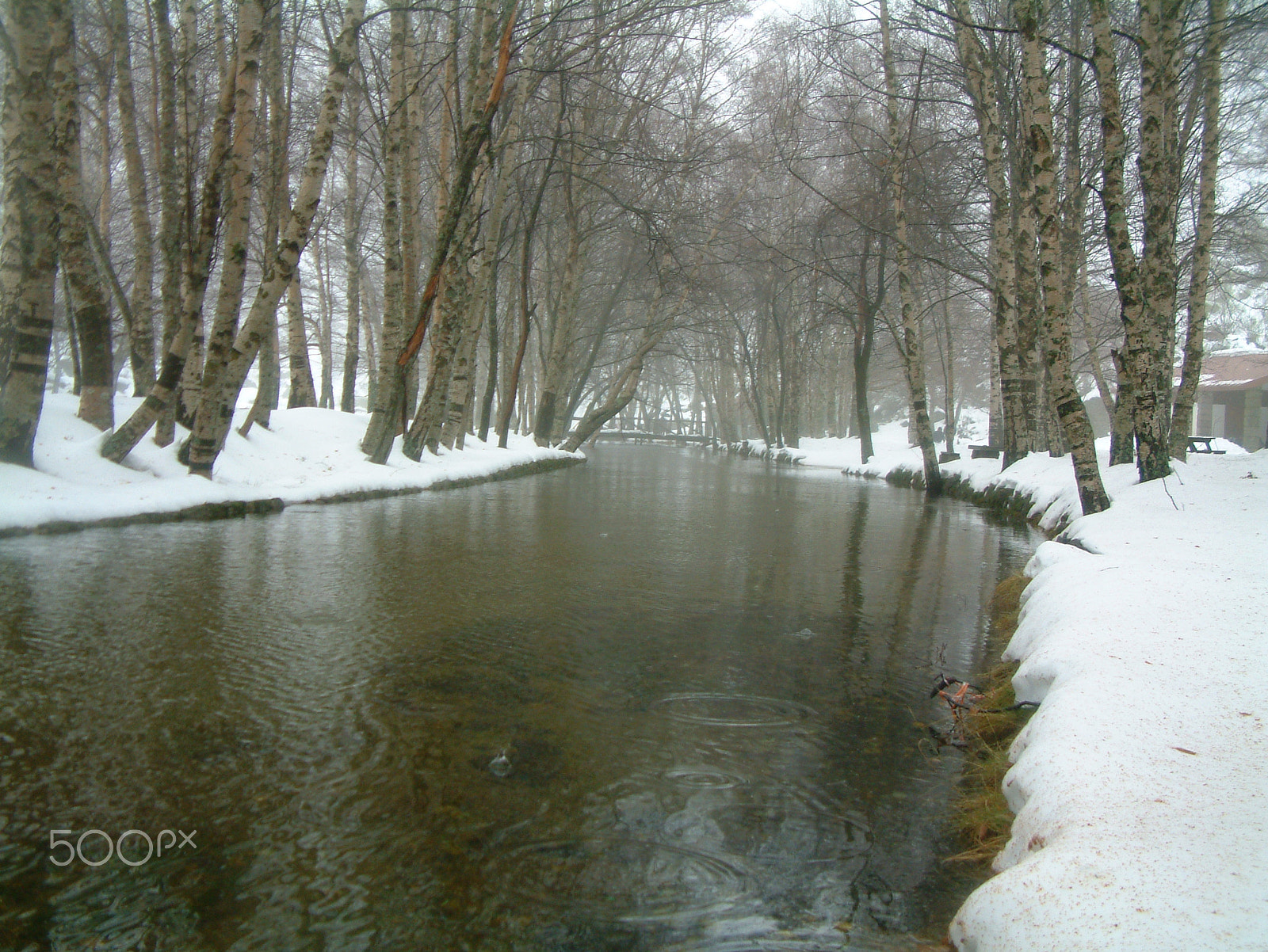 Fujifilm FinePix6900ZOOM sample photo. Serra da estrela photography