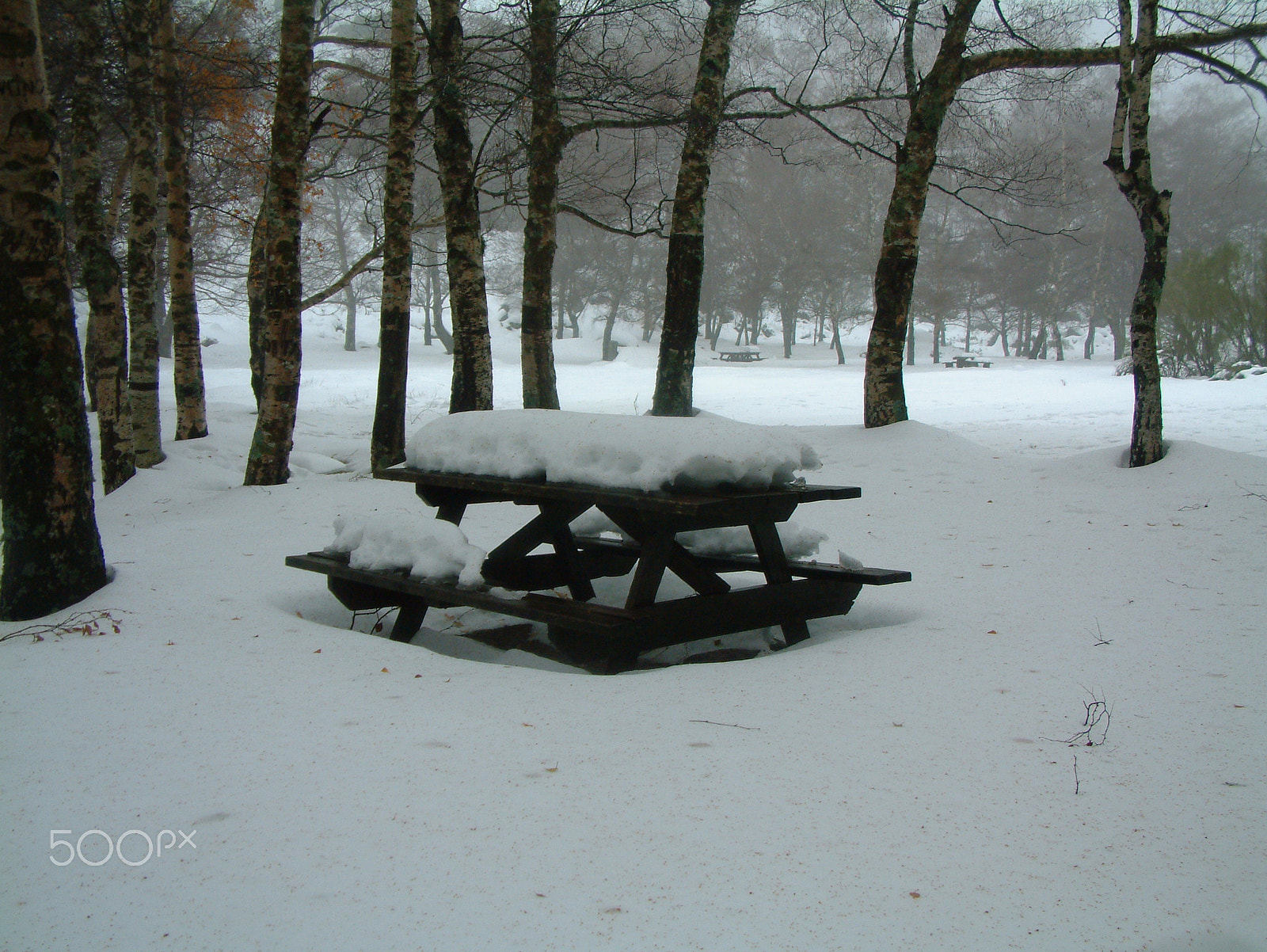 Fujifilm FinePix6900ZOOM sample photo. Serra da estrela photography