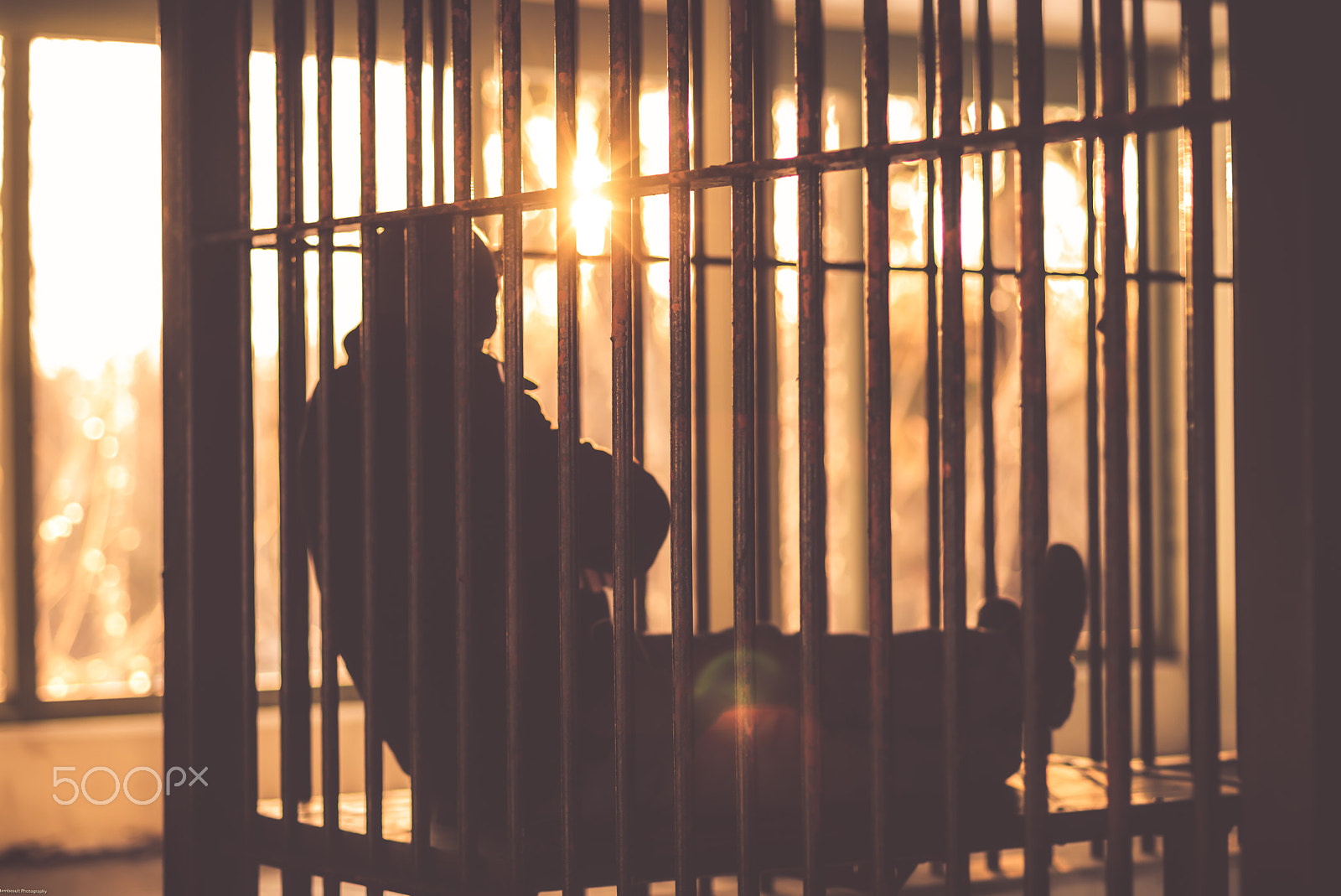 Nikon D610 + AF Nikkor 85mm f/1.8 sample photo. Caged photography