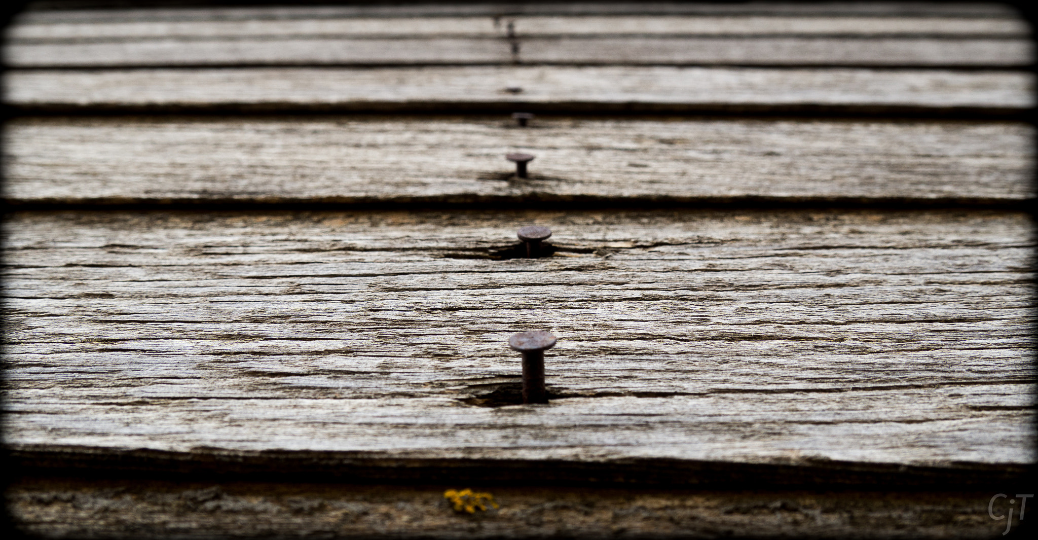 LUMIX G VARIO PZ 14-42/F3.5-5.6 sample photo. Nails in wood photography