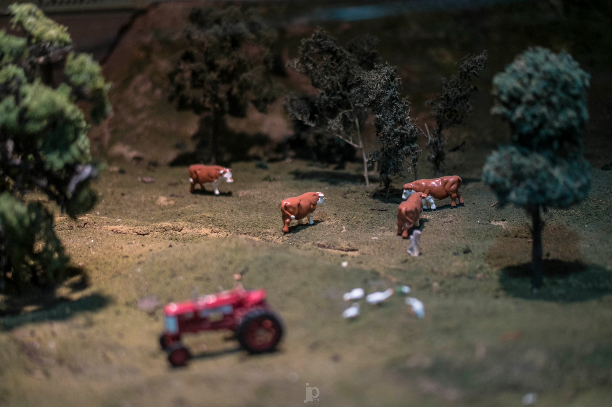 Samsung NX 45mm F1.8 sample photo. Sam_6037.jpg photography