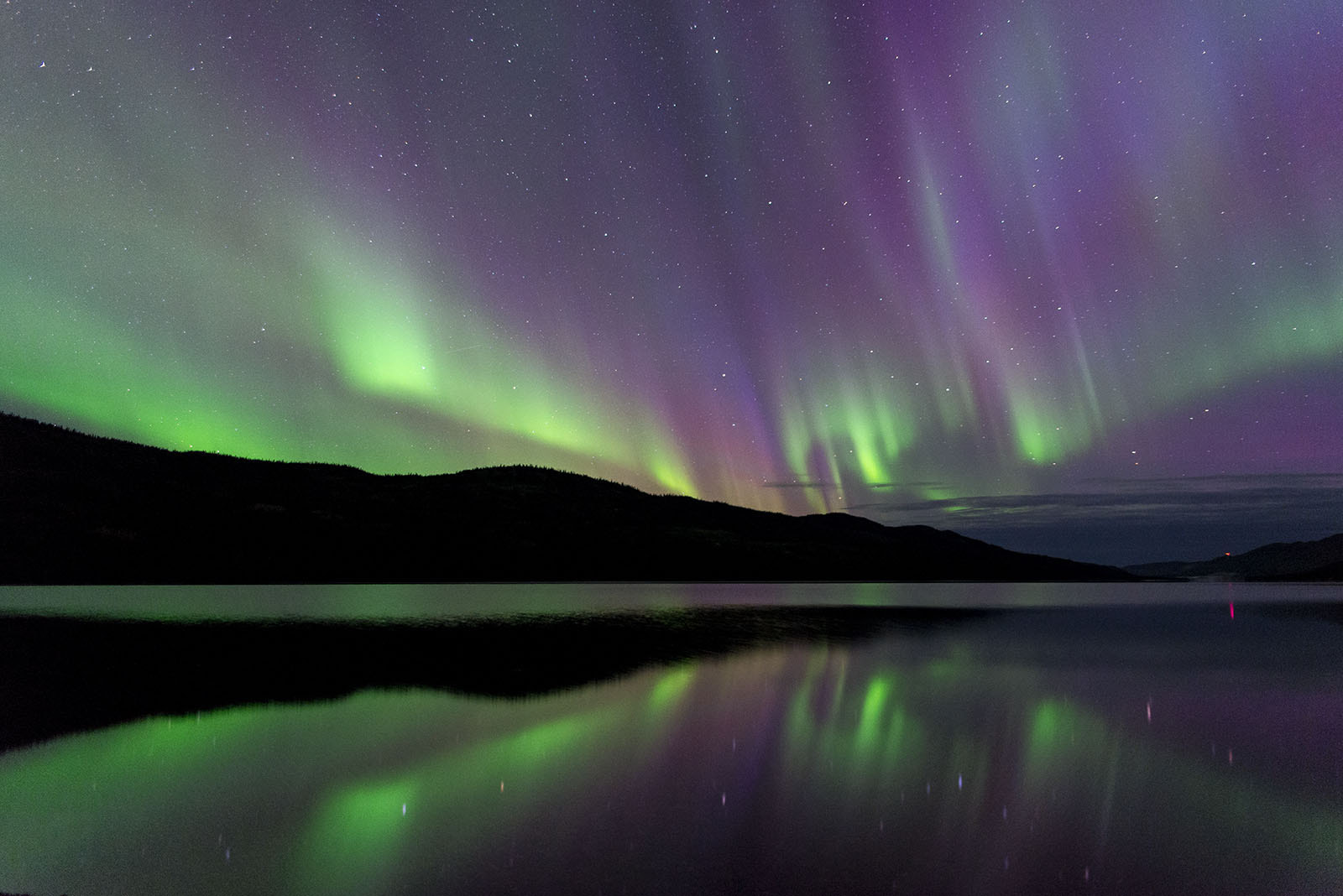 Sigma 24-70mm F2.8 EX DG HSM sample photo. Purple aurora in the yukon photography