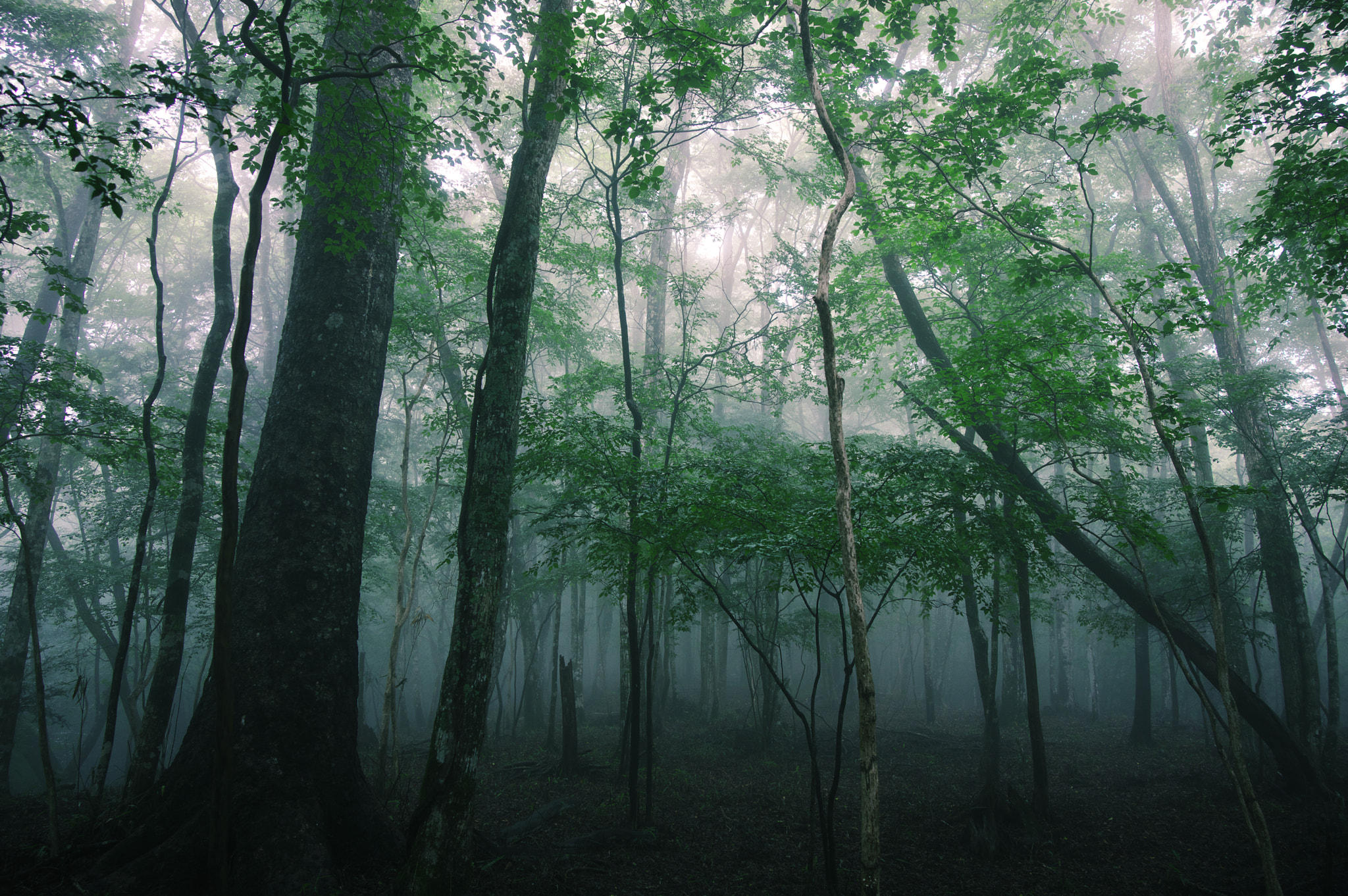 Pentax K-3 sample photo. Kitashitara district / aichi prefecture / japan photography