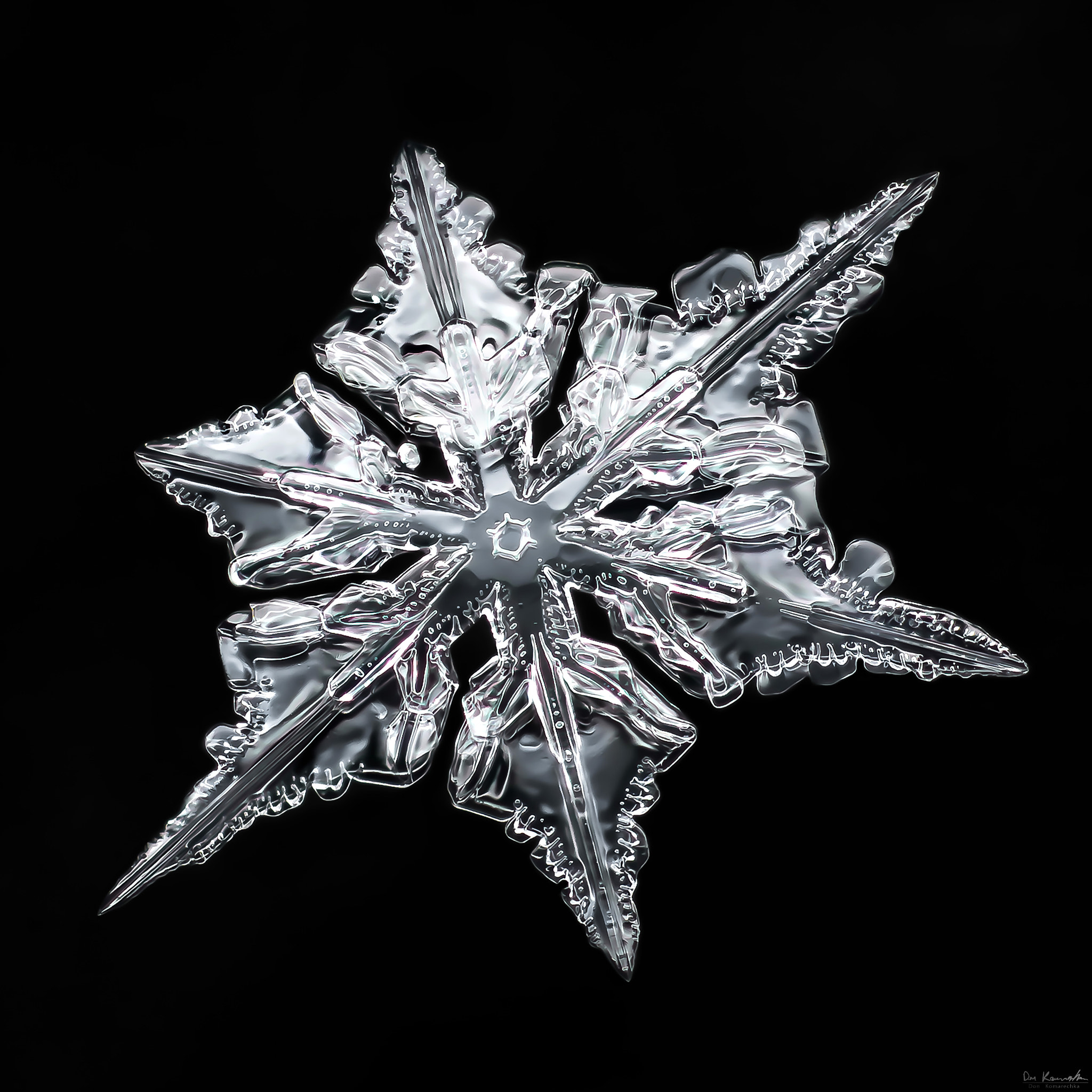 Canon MP-E 65mm F2.5 1-5x Macro Photo sample photo. Snowflake-a-day #26 photography