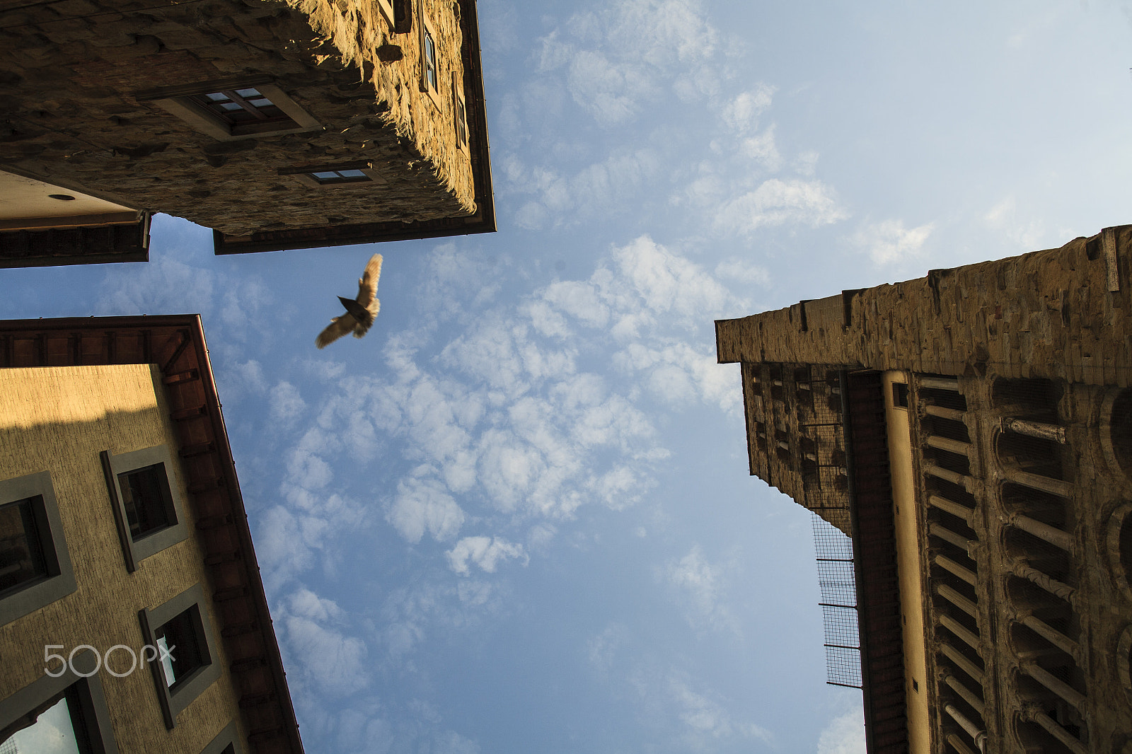 Canon EF 28-80mm f/2.8-4L sample photo. Arezzo photography