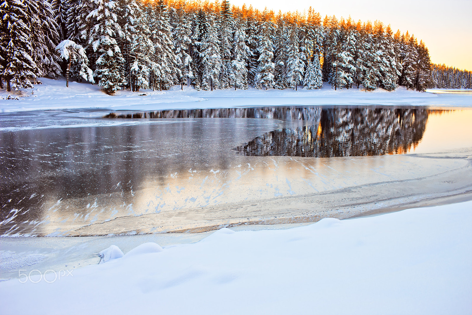 Canon EF 35mm F1.4L USM sample photo. Iced sunrise photography