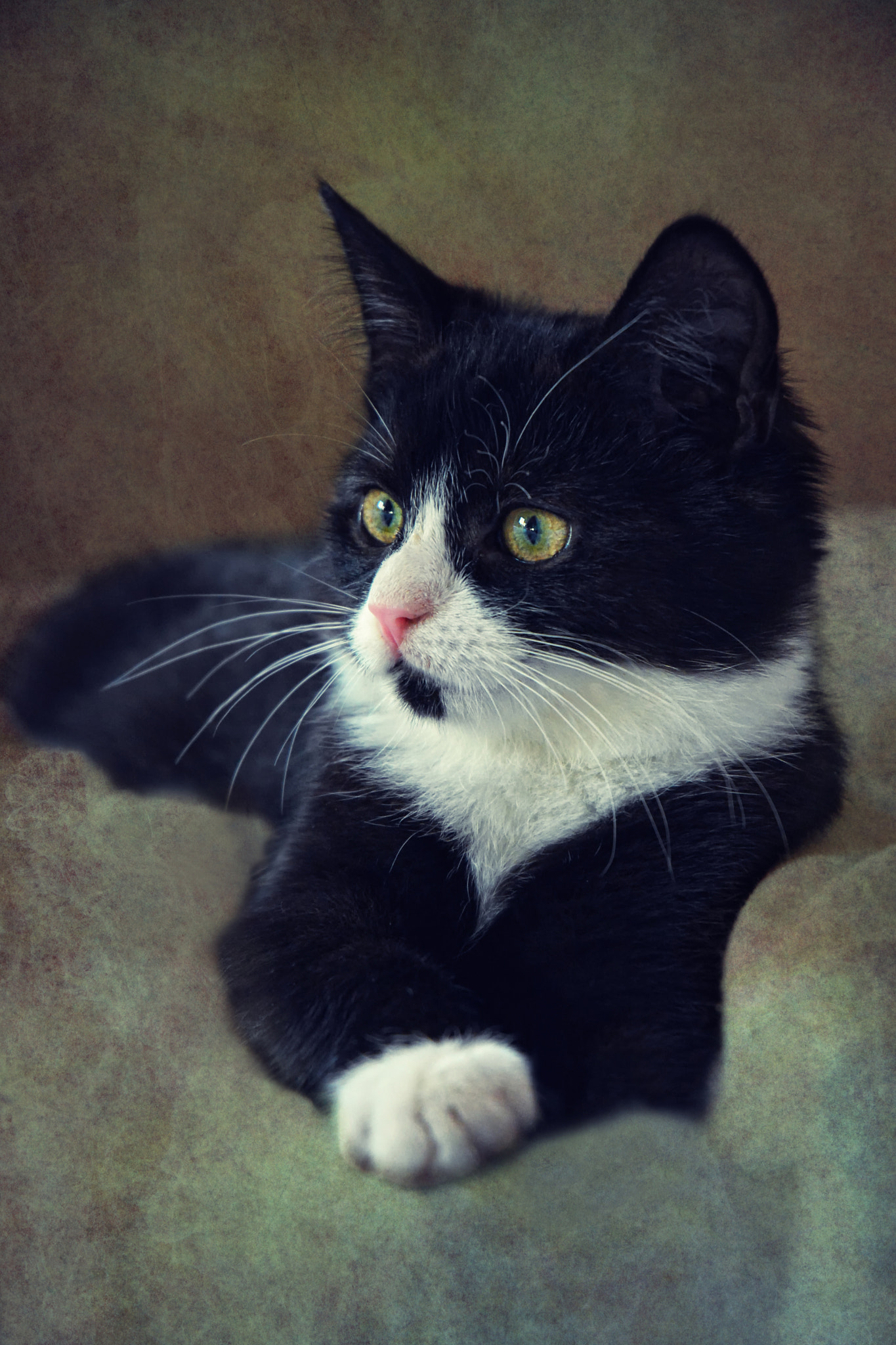 AF Zoom-Nikkor 35-80mm f/4-5.6D sample photo. Lilly photography