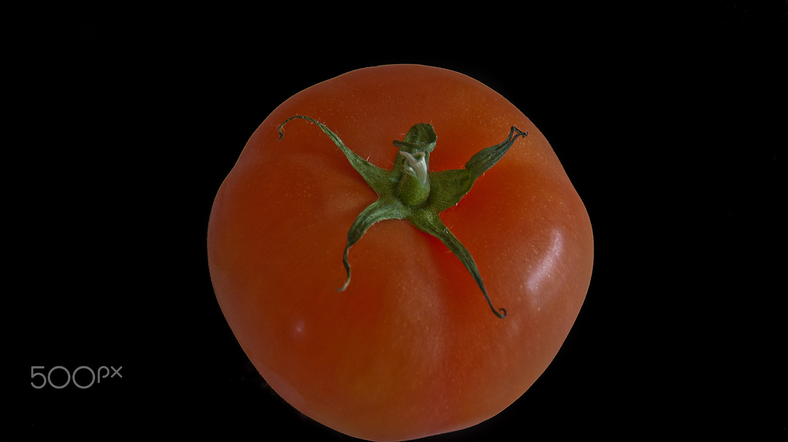Sony Alpha DSLR-A330 sample photo. Tomatoes (tomate) photography