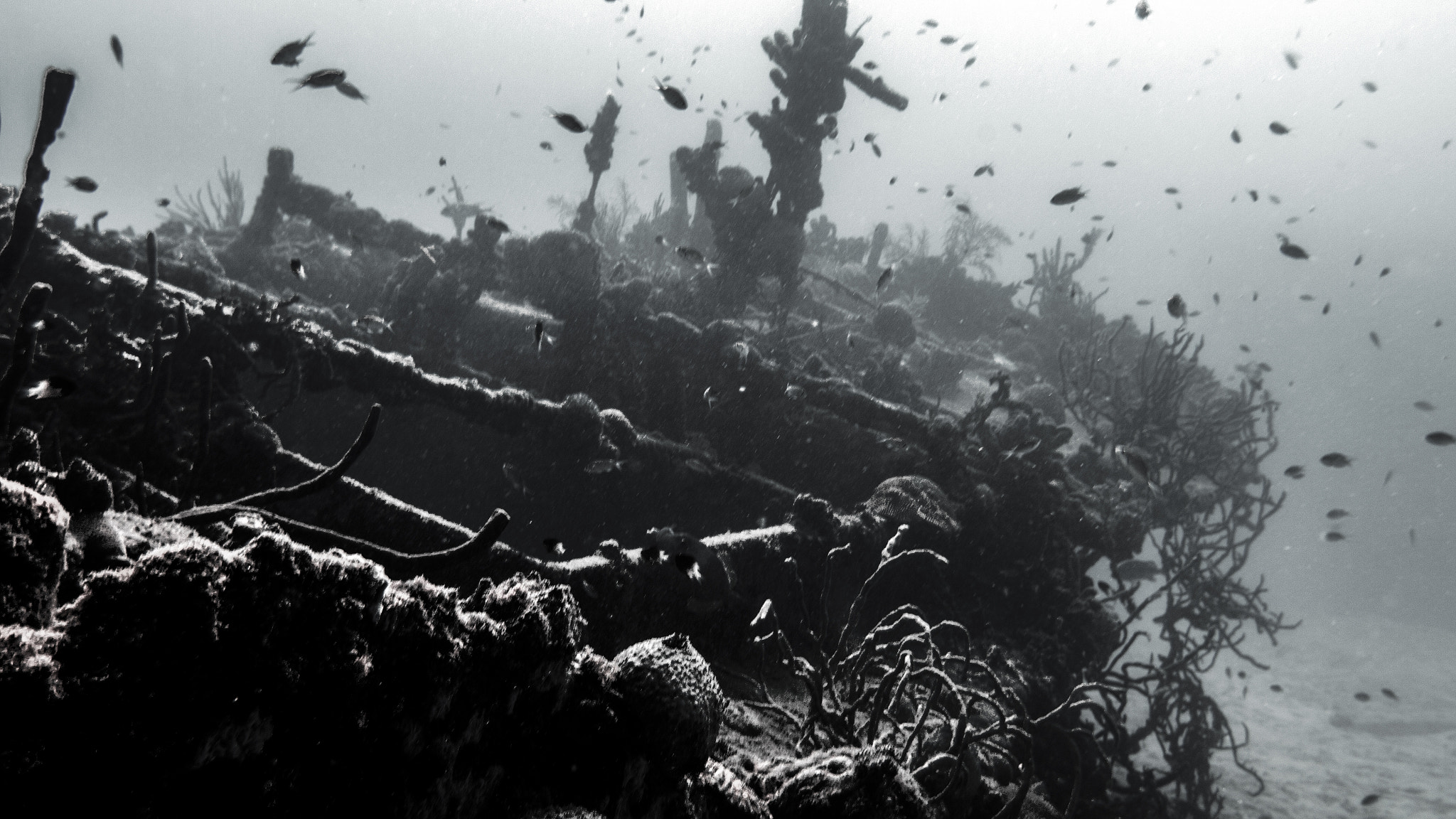 Canon EF 24mm F1.4L II USM sample photo. Ghost ship photography