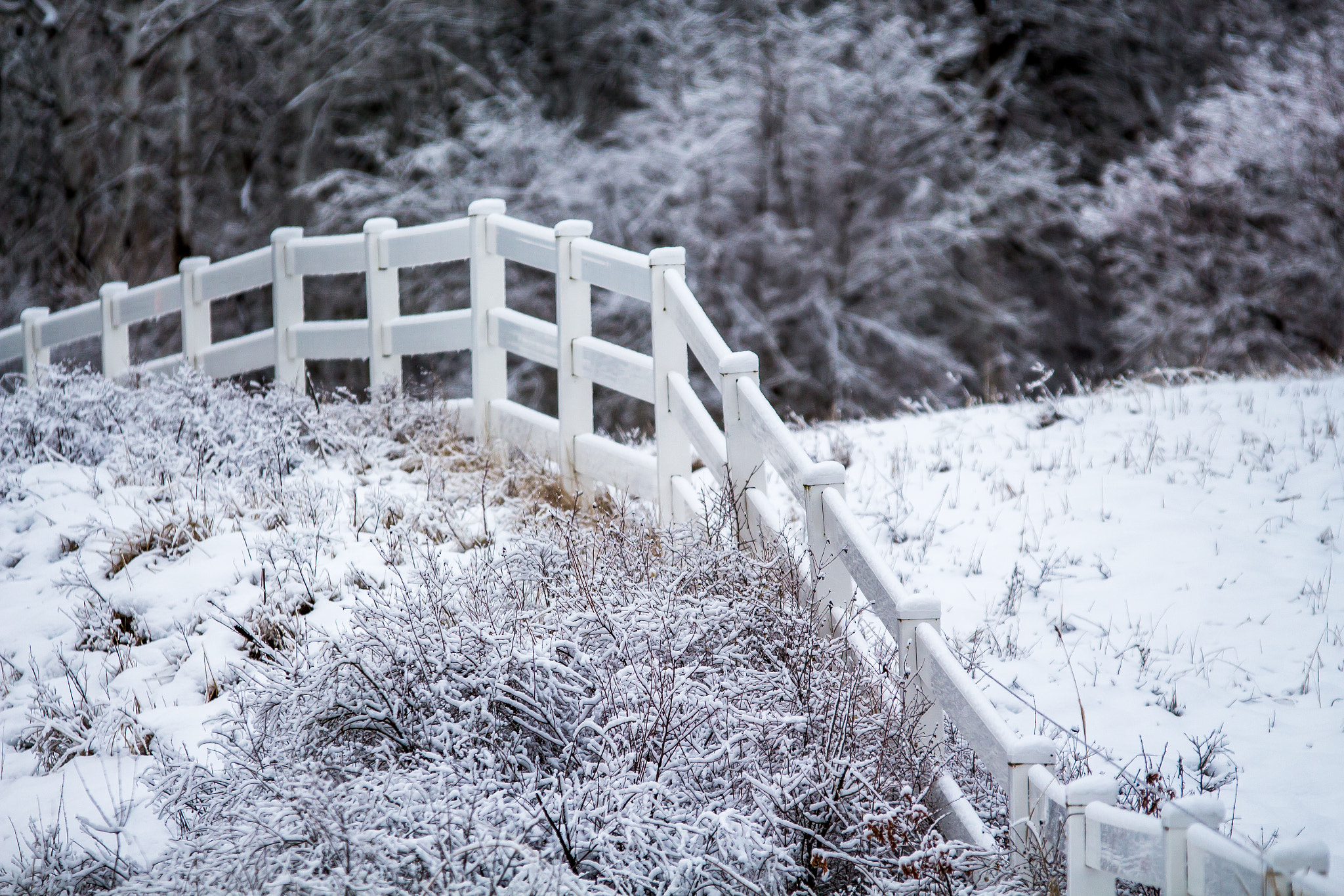 Canon EOS 700D (EOS Rebel T5i / EOS Kiss X7i) + Sigma 70-200mm F2.8 EX DG OS HSM sample photo. Snow fence photography