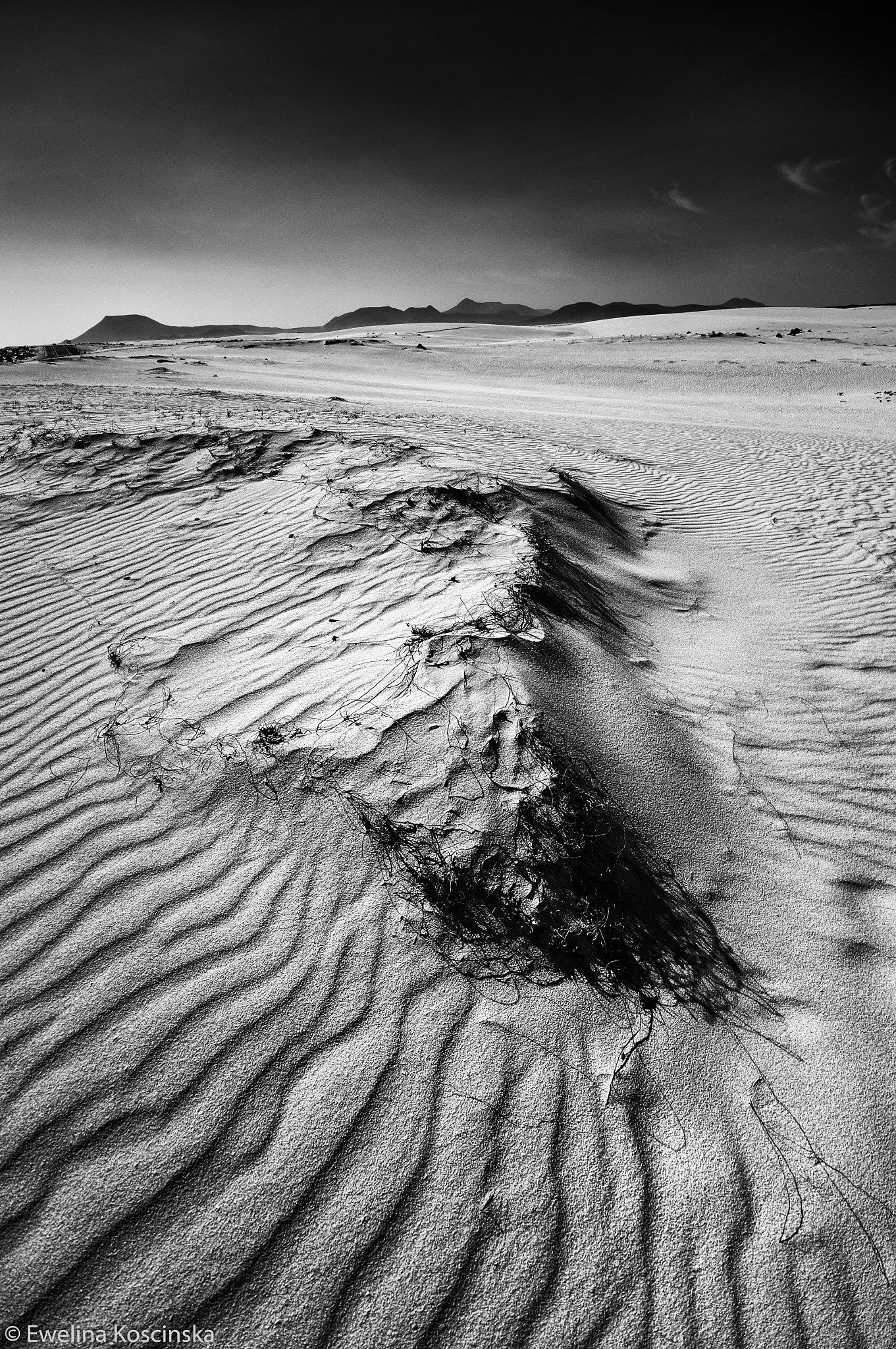 Sony Alpha DSLR-A580 sample photo. Dunes photography