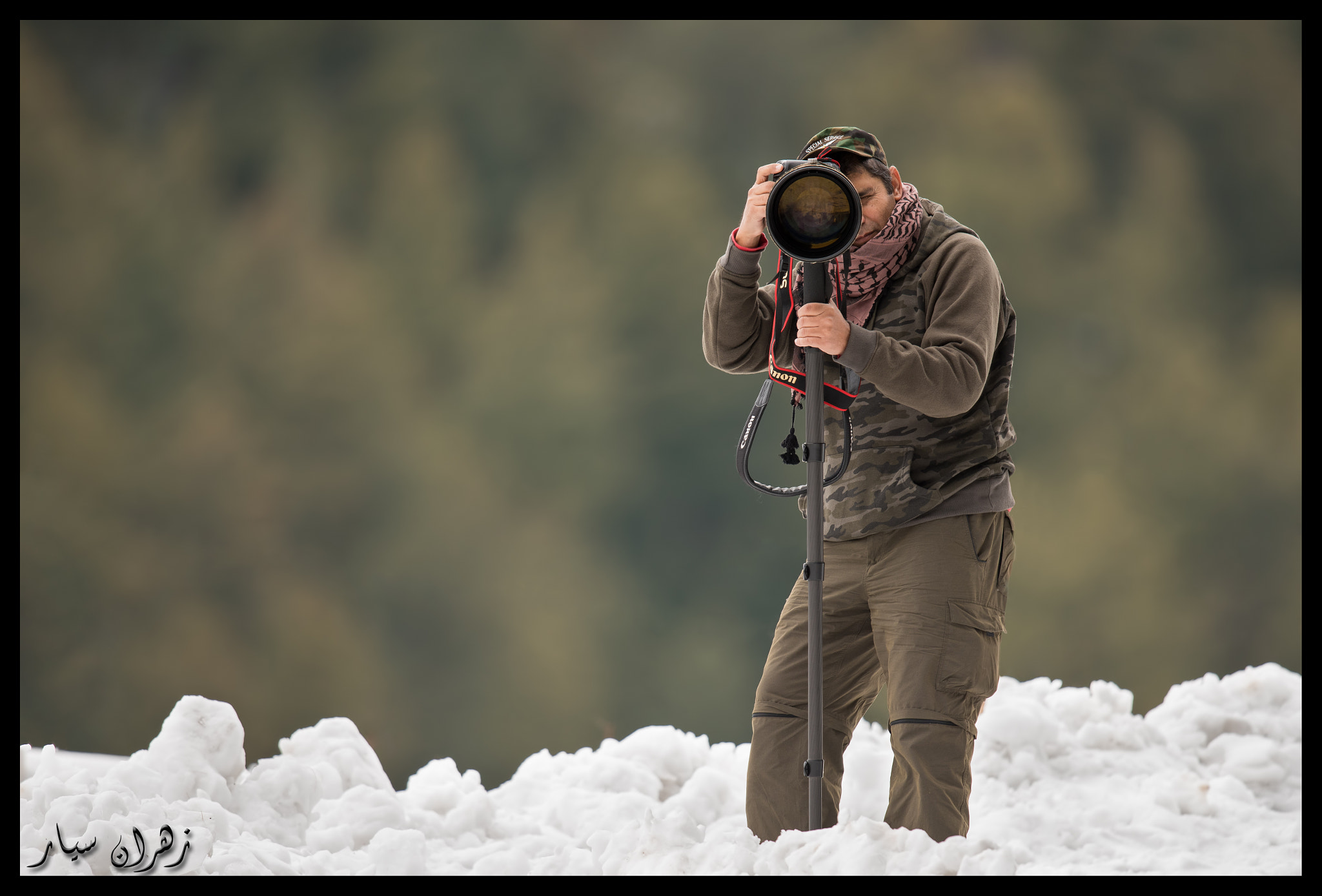 Nikon D750 + Nikon AF-S Nikkor 600mm F4G ED VR sample photo. My birding mentor ! photography