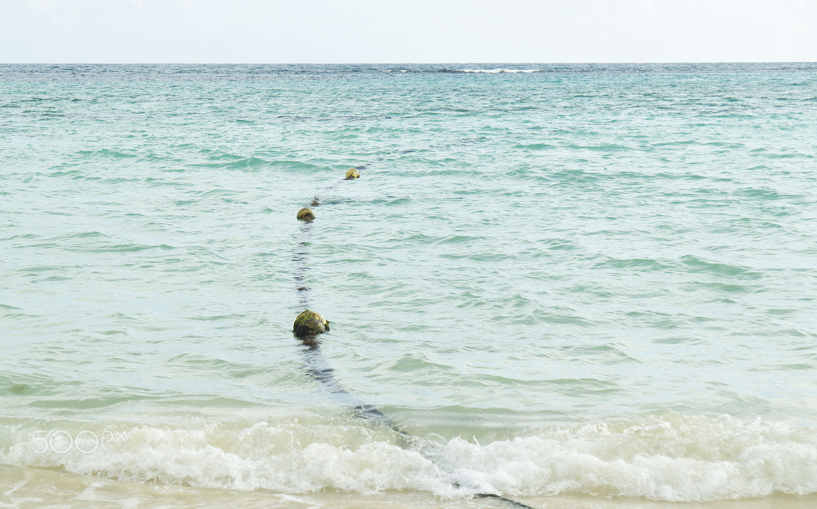 Sony DT 16-105mm F3.5-5.6 sample photo. Wherever it leads to photography