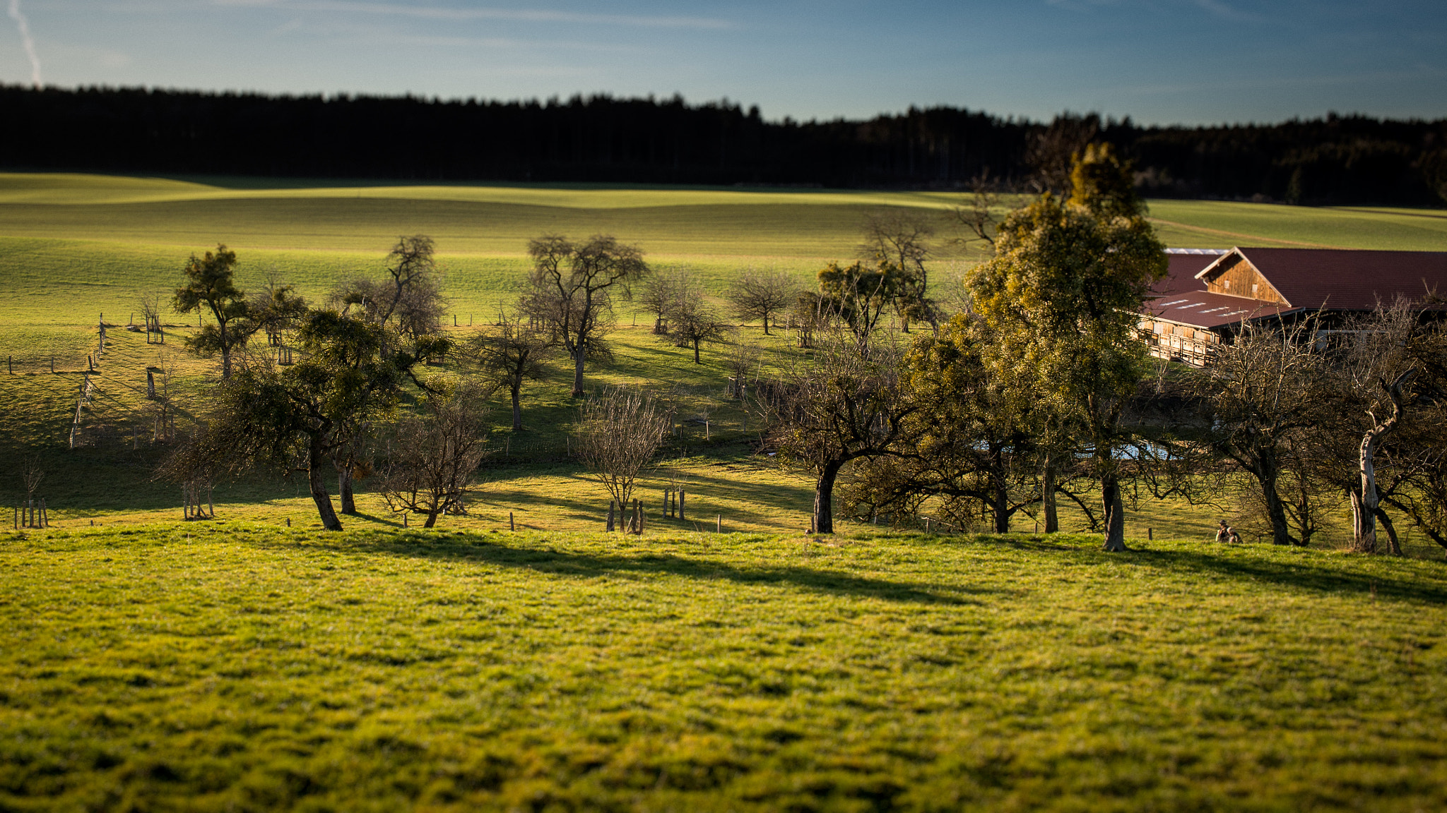 Nikon Df + AF-S Nikkor 35mm f/1.8G sample photo. Green fields of winter photography