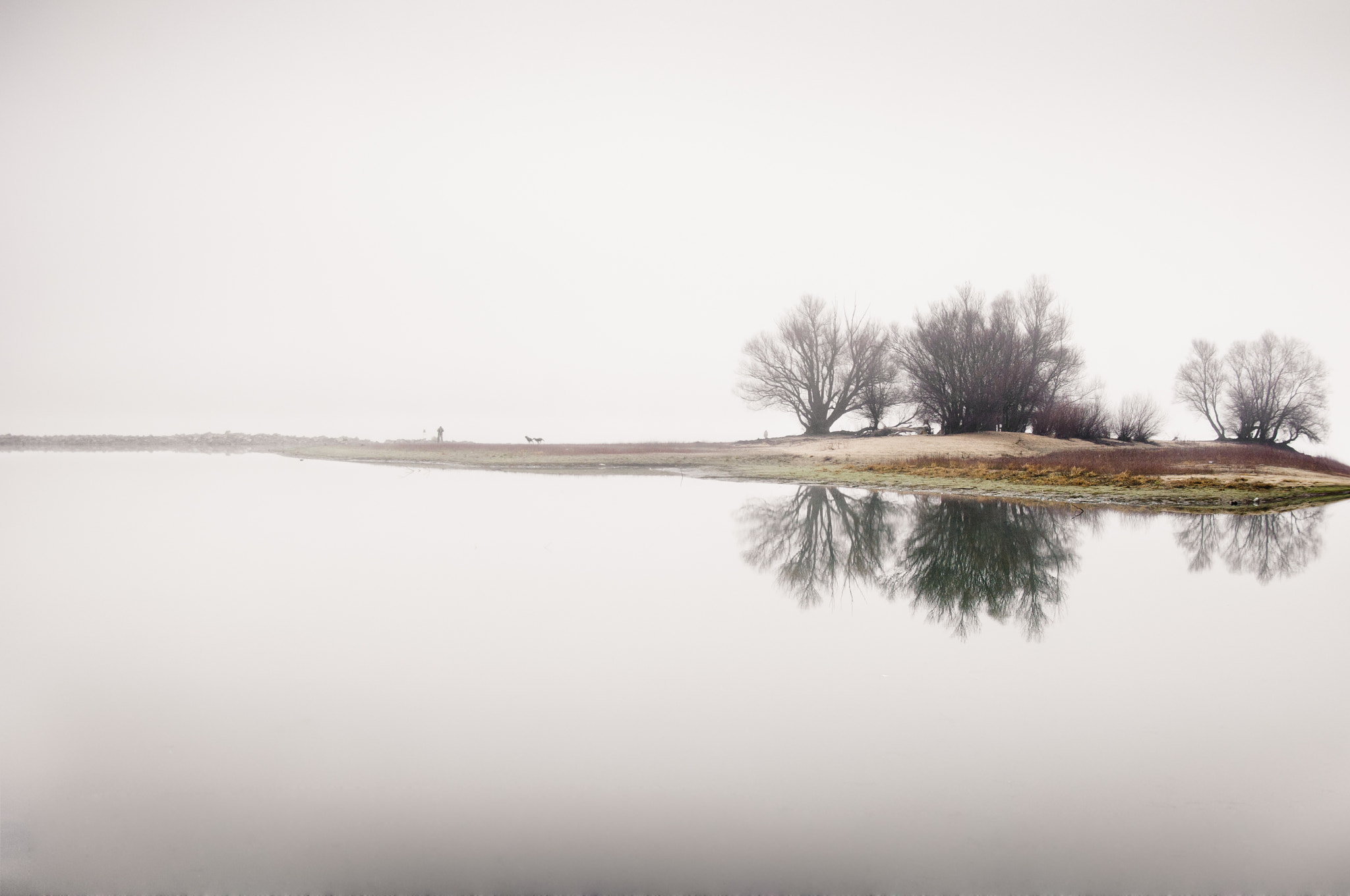 Pentax K-x sample photo. In the fog... photography