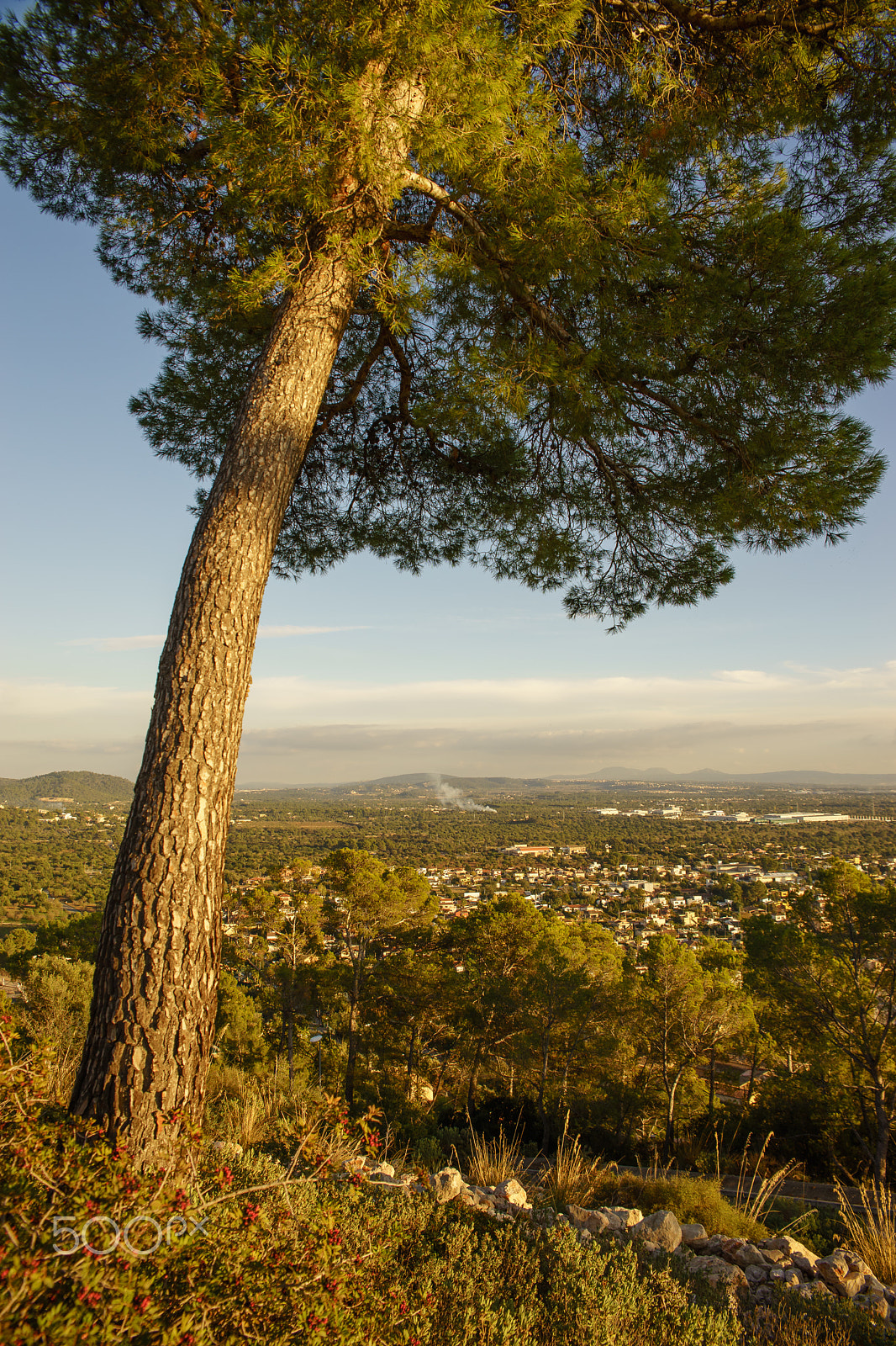 24-70mm F2.8 sample photo. Mallorca photography