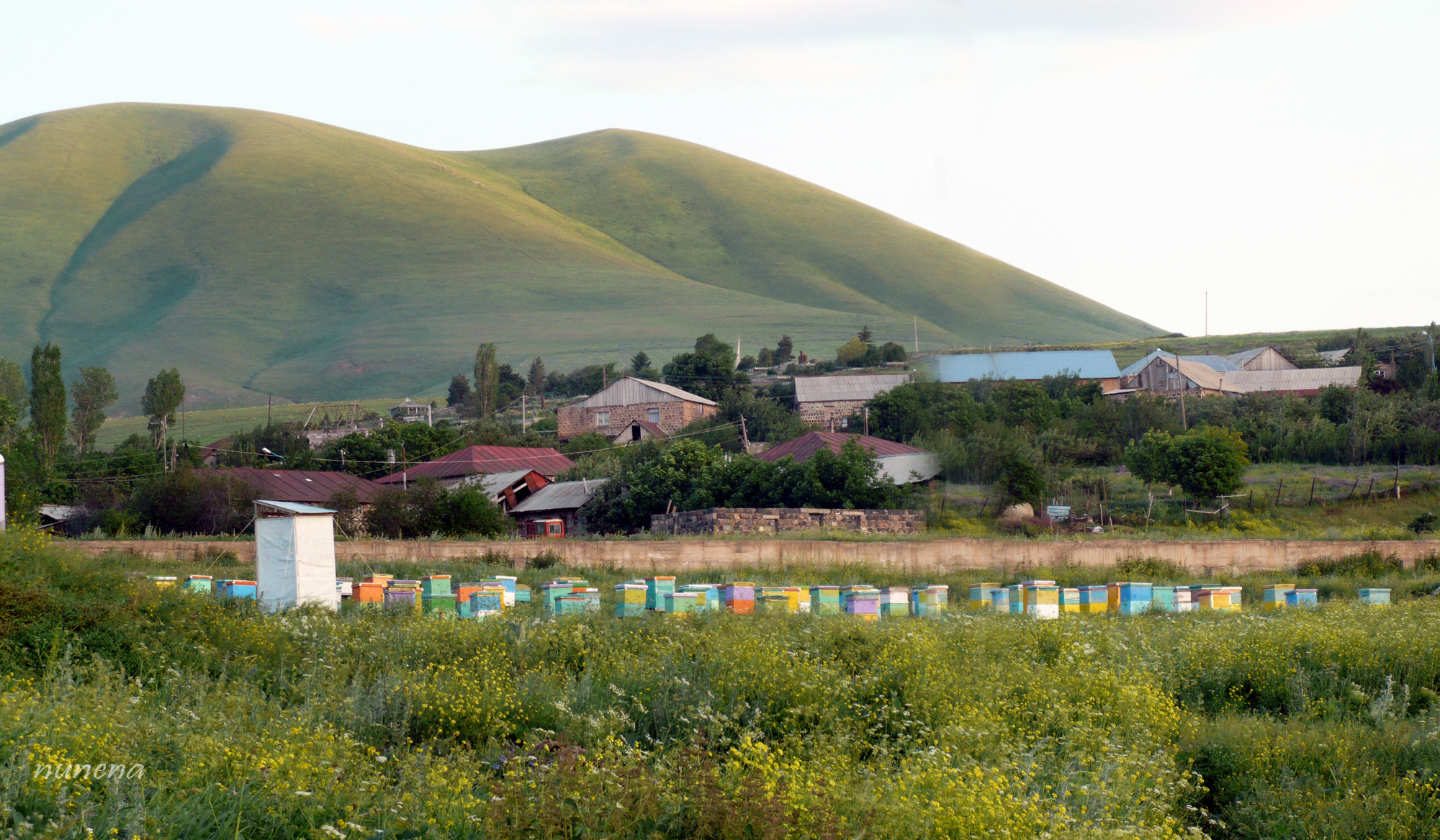 Panasonic DMC-FX100 sample photo. Armenian nature photography