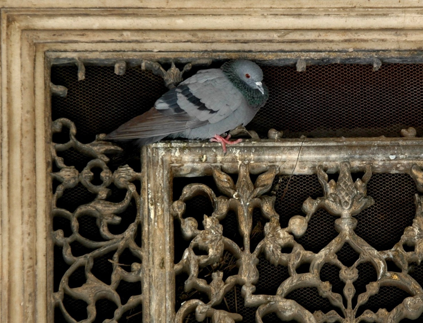 Sigma 18-200mm F3.5-6.3 DC OS HSM sample photo. India - dehli - red fort 01 photography