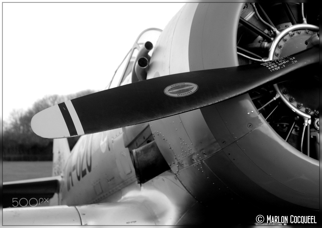 55mm f/3.5-5.6 IS II sample photo. North american t-6 texan - f-azrd photography