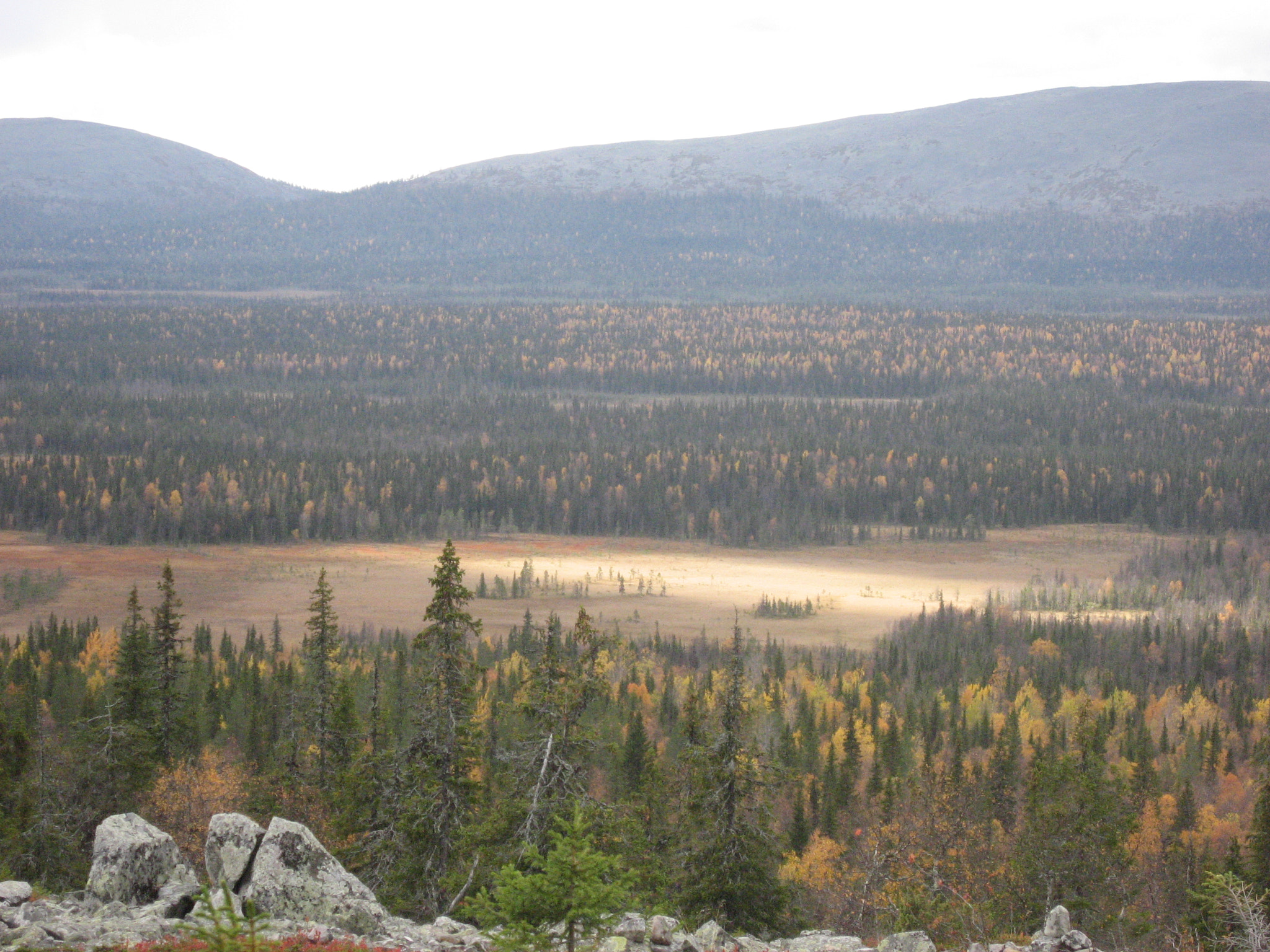 Canon DIGITAL IXUS 800 IS sample photo. A view from haavepalo mountain in kittilä lapland (september ) photography