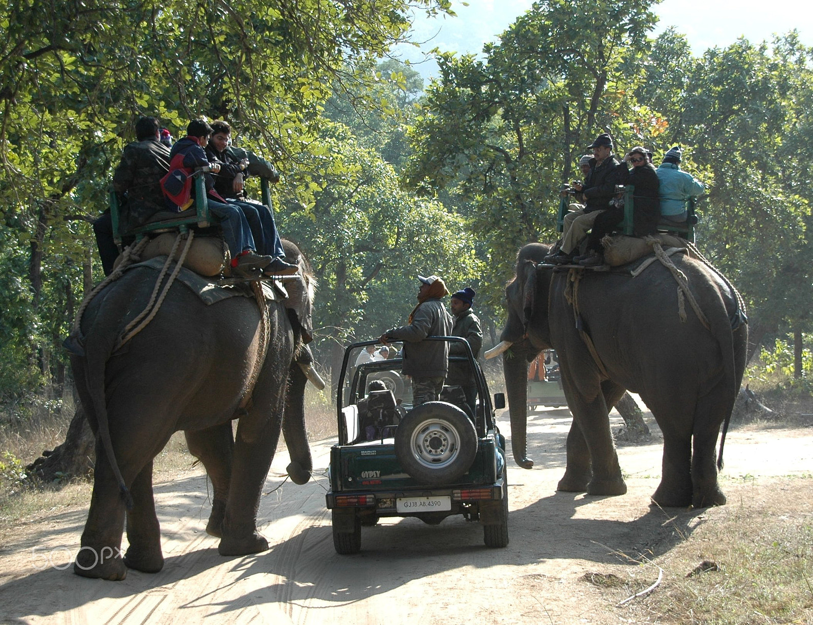 Sigma 18-200mm F3.5-6.3 DC OS HSM sample photo. India - bandhavgarh 02 photography