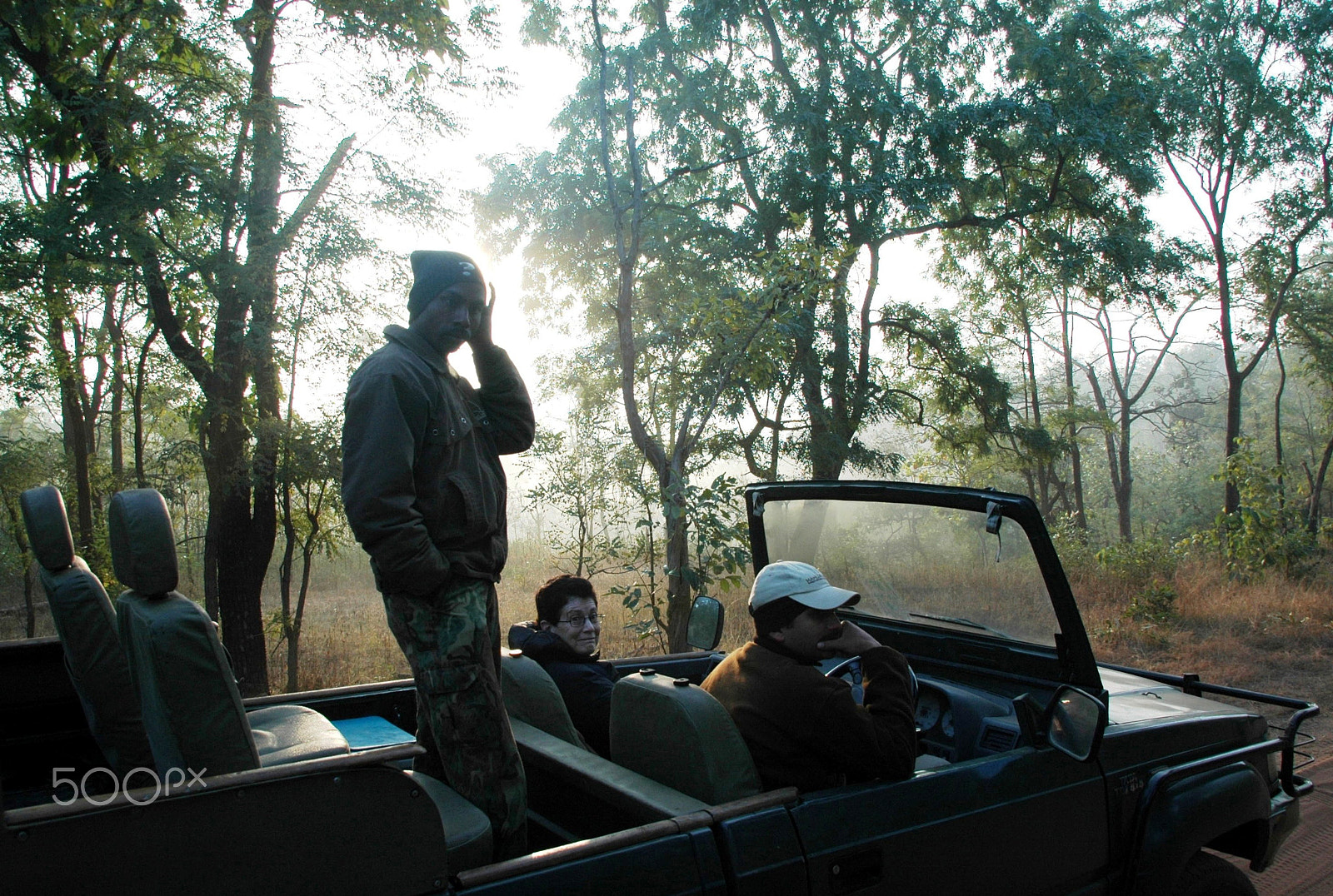 Sigma 18-200mm F3.5-6.3 DC OS HSM sample photo. India - bandhavgarh 04 photography