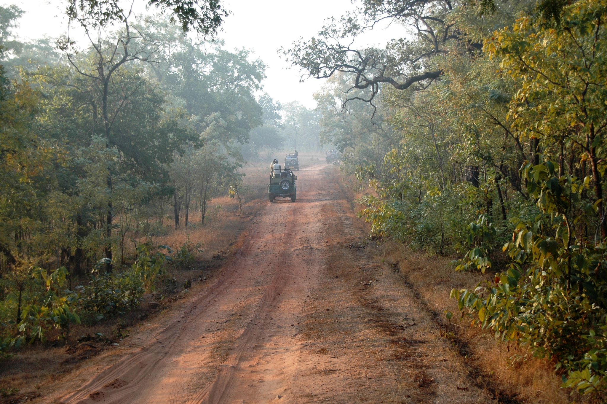 Sigma 18-200mm F3.5-6.3 DC OS HSM sample photo. India - bandhavgarh 05 photography