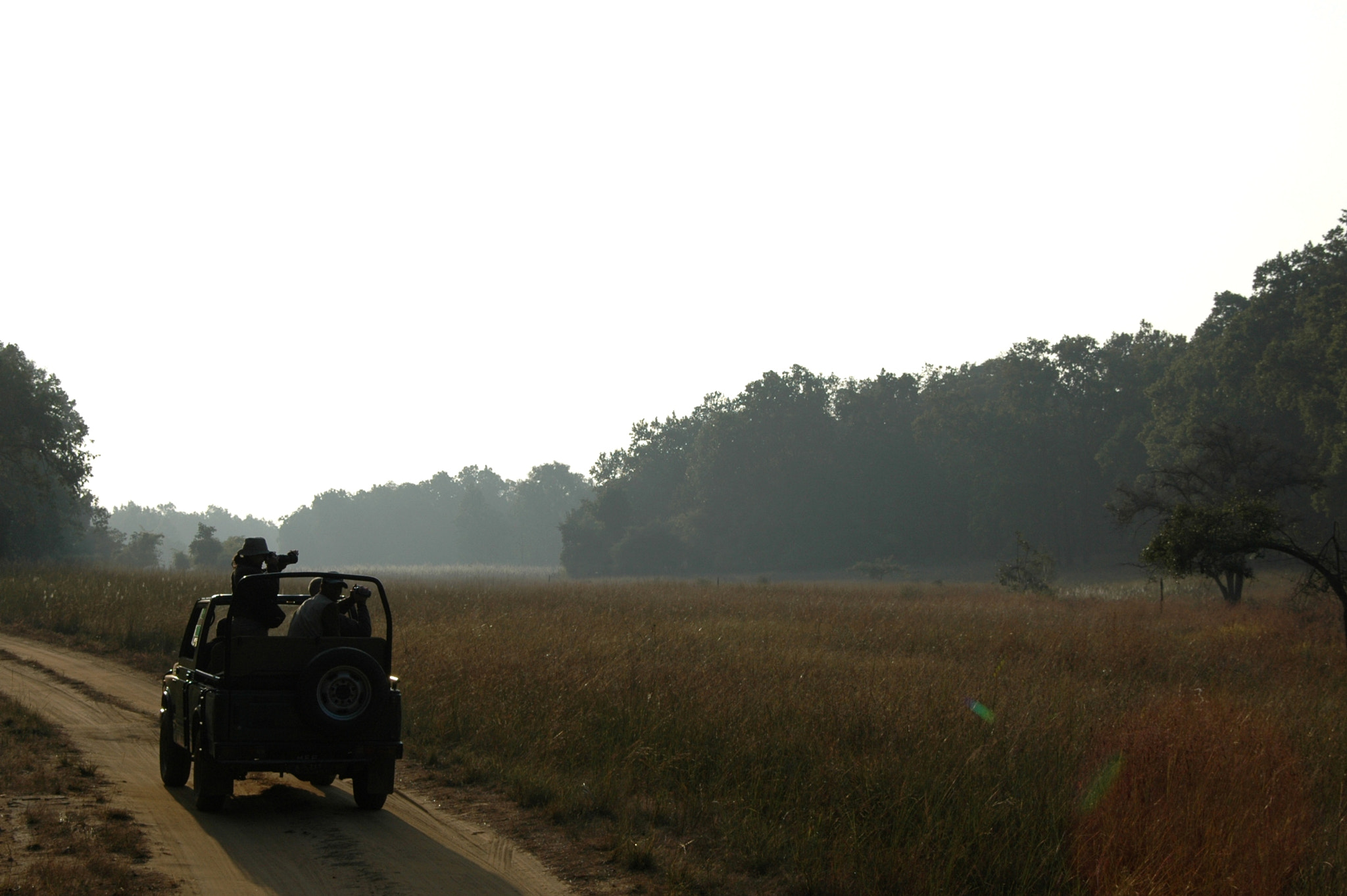 Sigma 18-200mm F3.5-6.3 DC OS HSM sample photo. India - bandhavgarh 06 photography