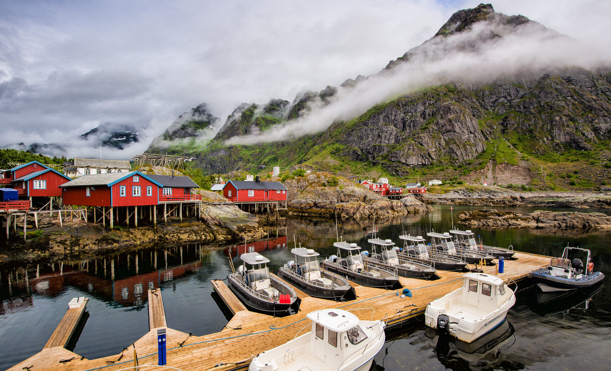 Nikon Df sample photo. Morning at the end of lofoten photography