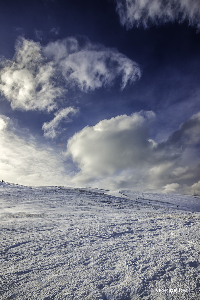 Nikon D800 + Sigma 20mm F1.8 EX DG Aspherical RF sample photo. 402804180019.jpg photography