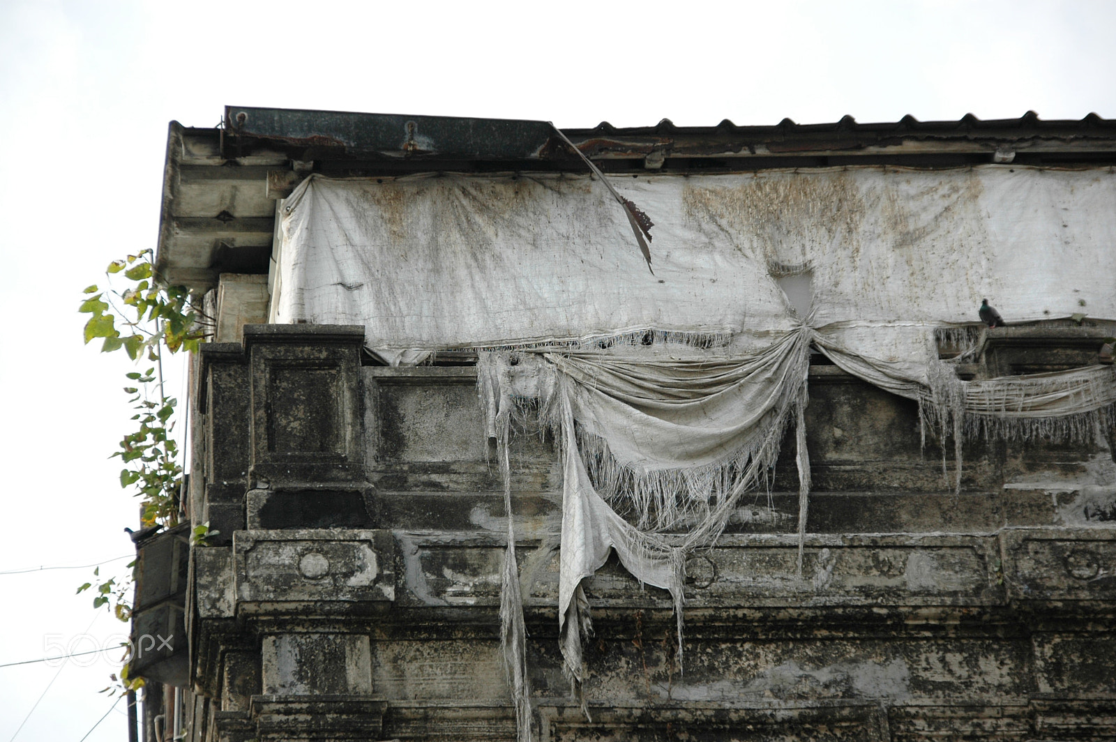 Sigma 18-200mm F3.5-6.3 DC OS HSM sample photo. India - mumbai 04 photography