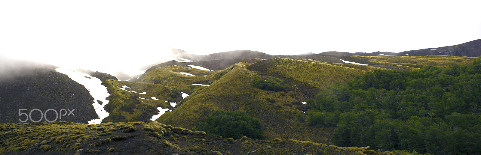 50mm F1.8 sample photo. Panoramaelmocho2 photography