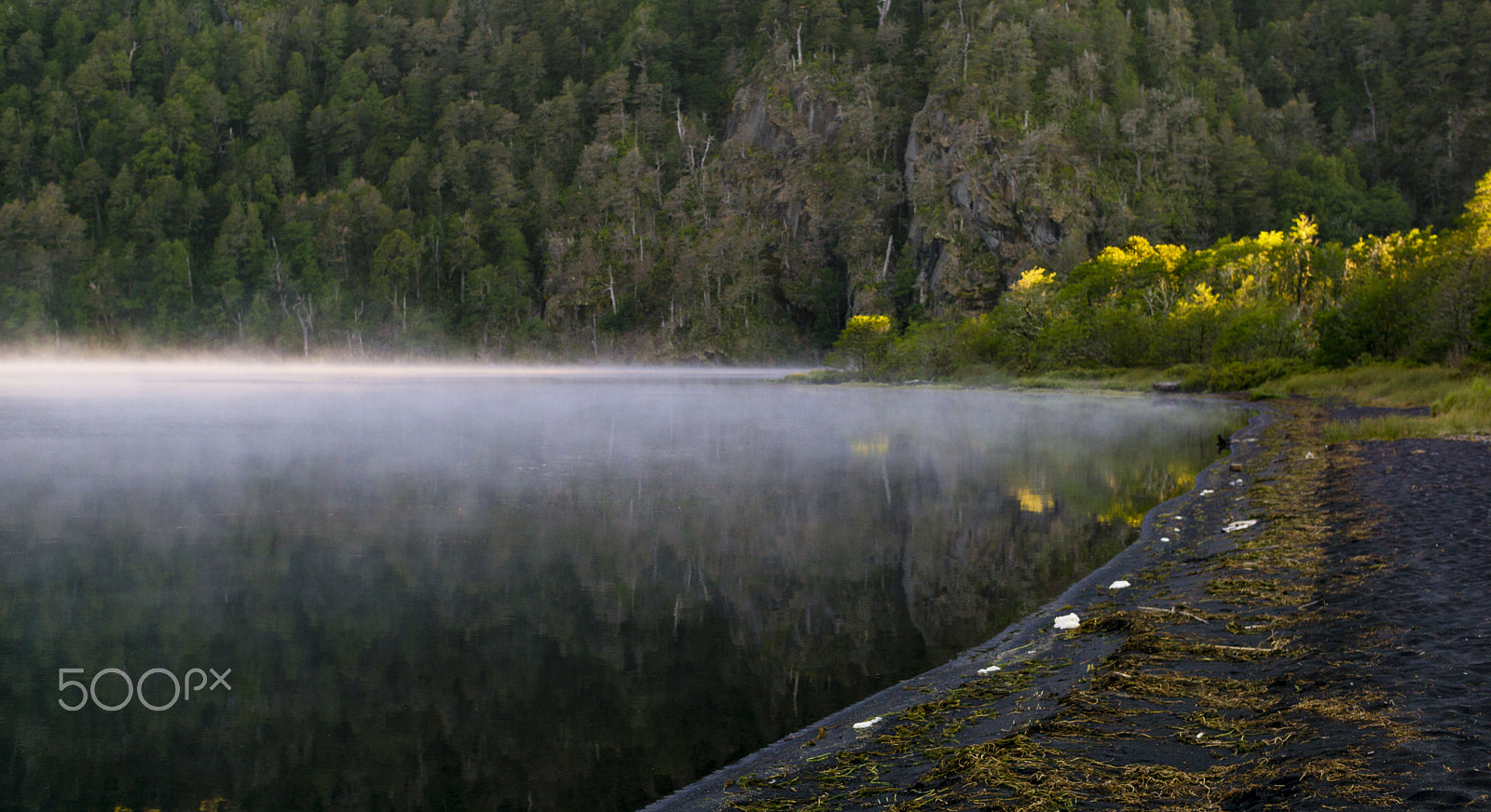 50mm F1.8 sample photo. Quillelhue al amanecer photography