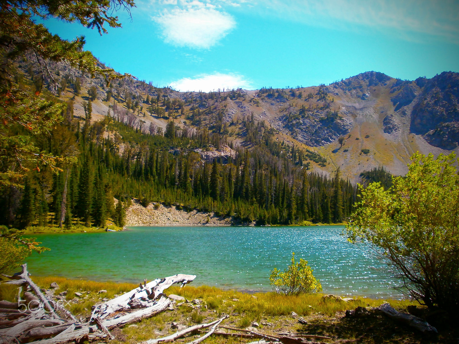 Olympus VG150,D735 sample photo. Ketchum, id lake photography