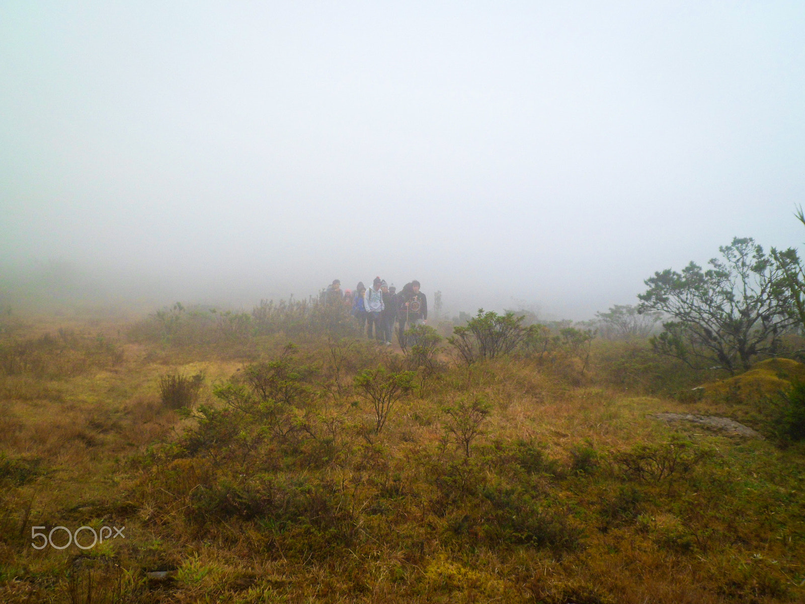 Samsung PL210, PL211 / VLUU PL210, PL211 sample photo. Paramo photography