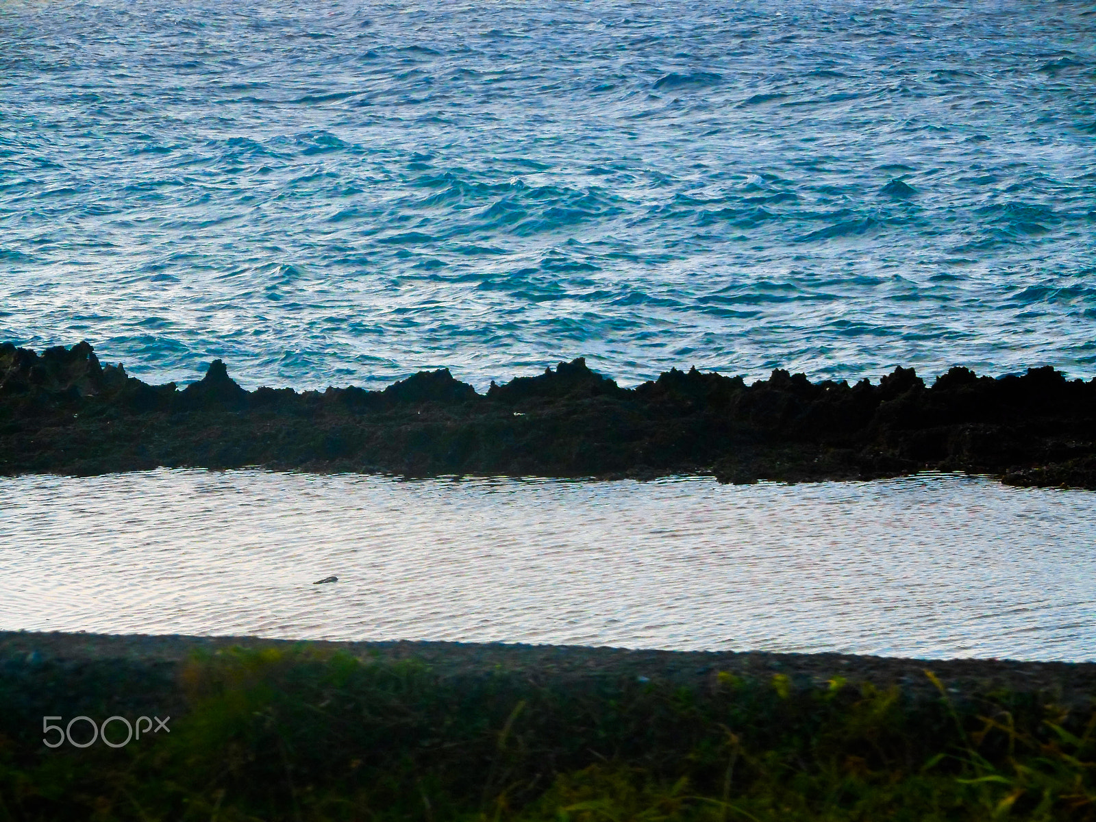 Samsung PL210, PL211 / VLUU PL210, PL211 sample photo. Términos photography