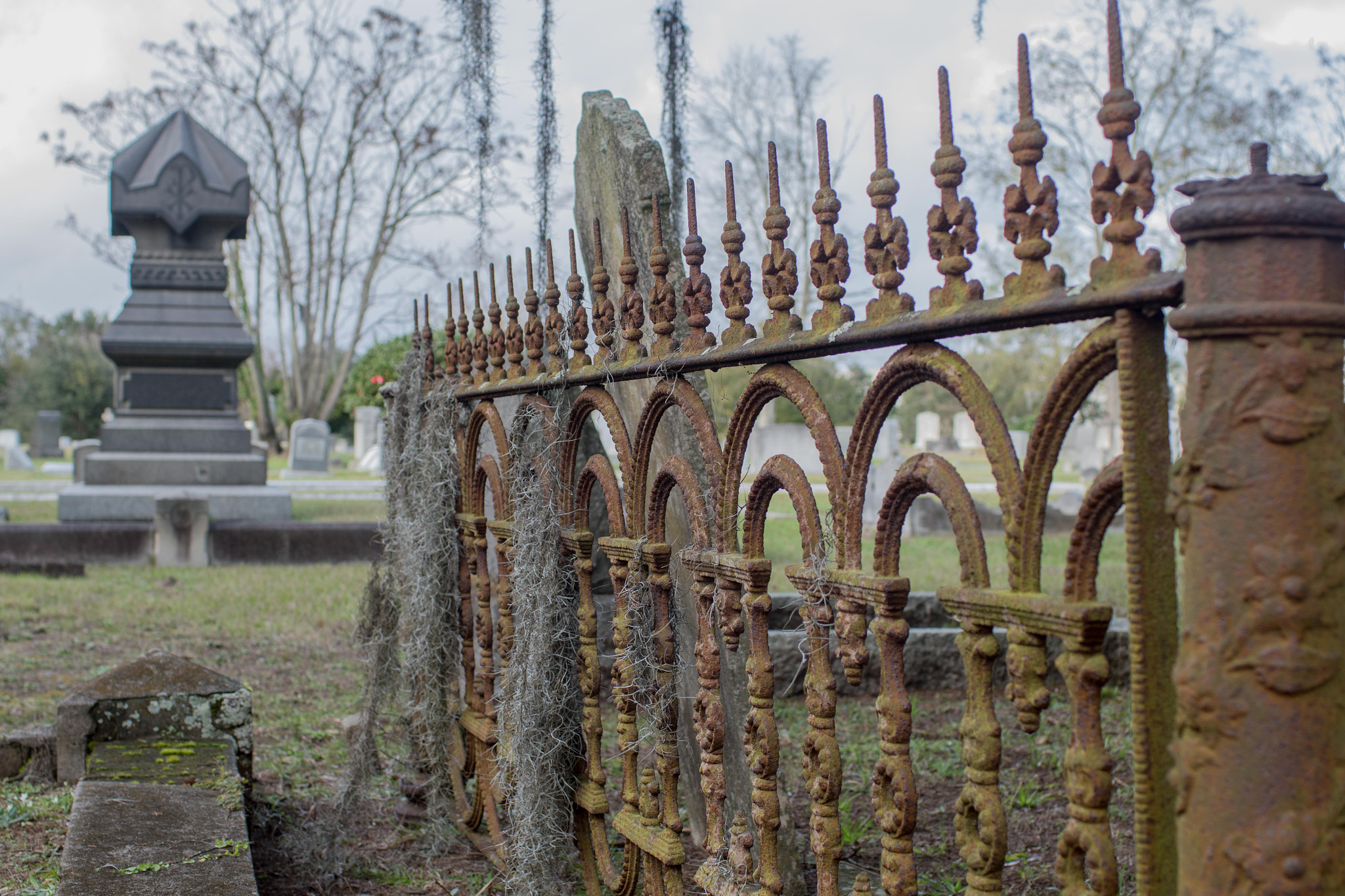 Canon EF 35mm F1.4L USM sample photo. Charleston day photography