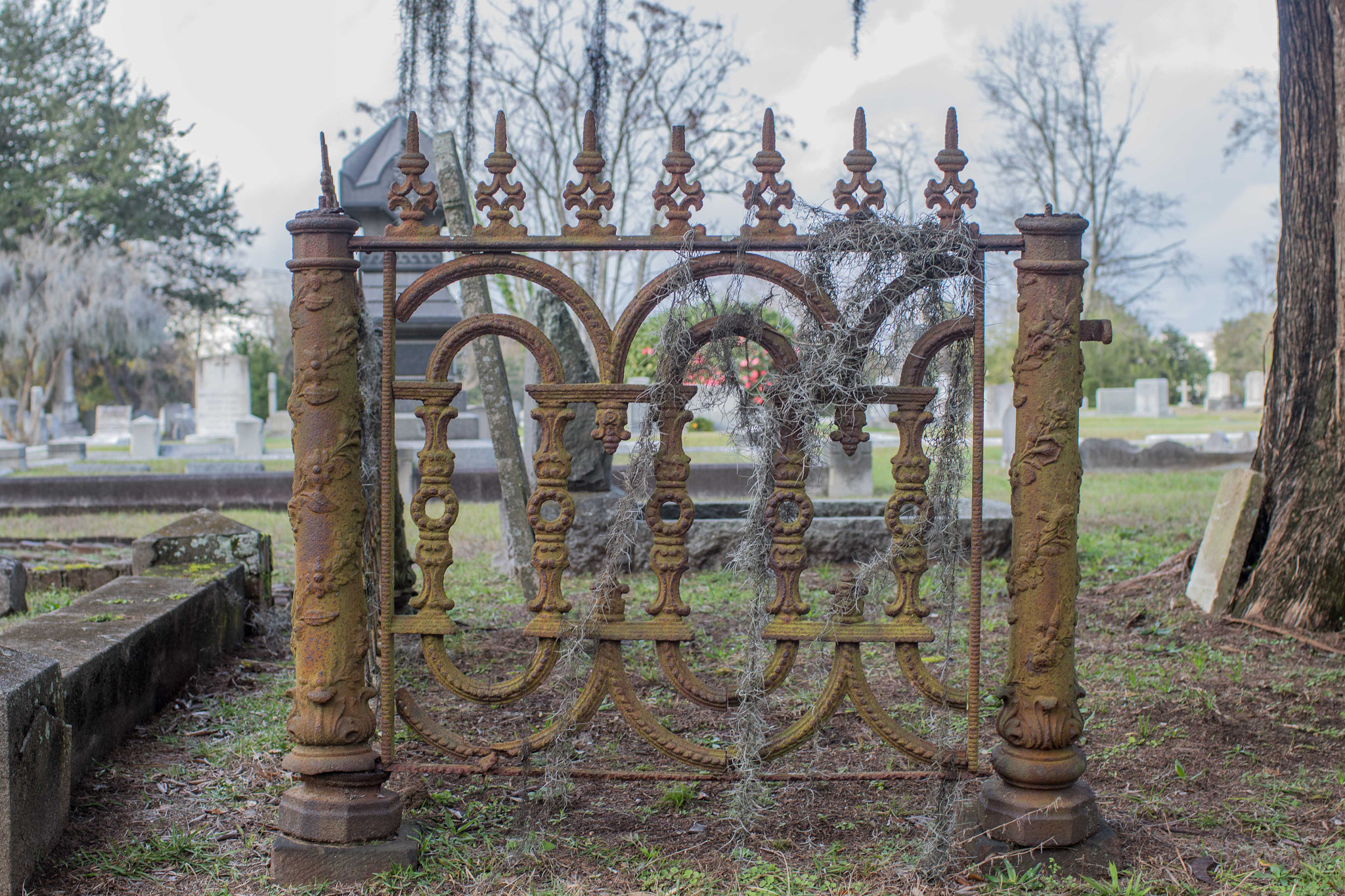 Canon EF 35mm F1.4L USM sample photo. Charleston day photography