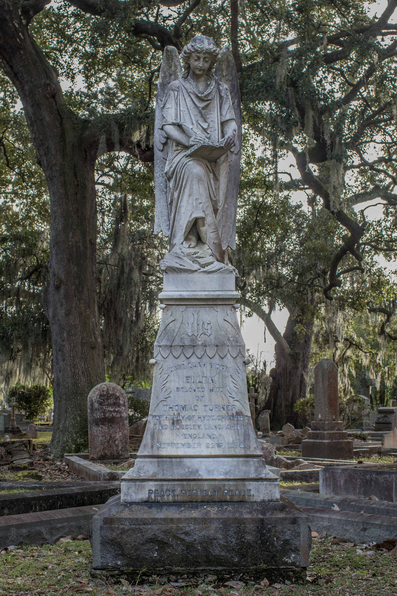 Canon EF 35mm F1.4L USM sample photo. Charleston day photography